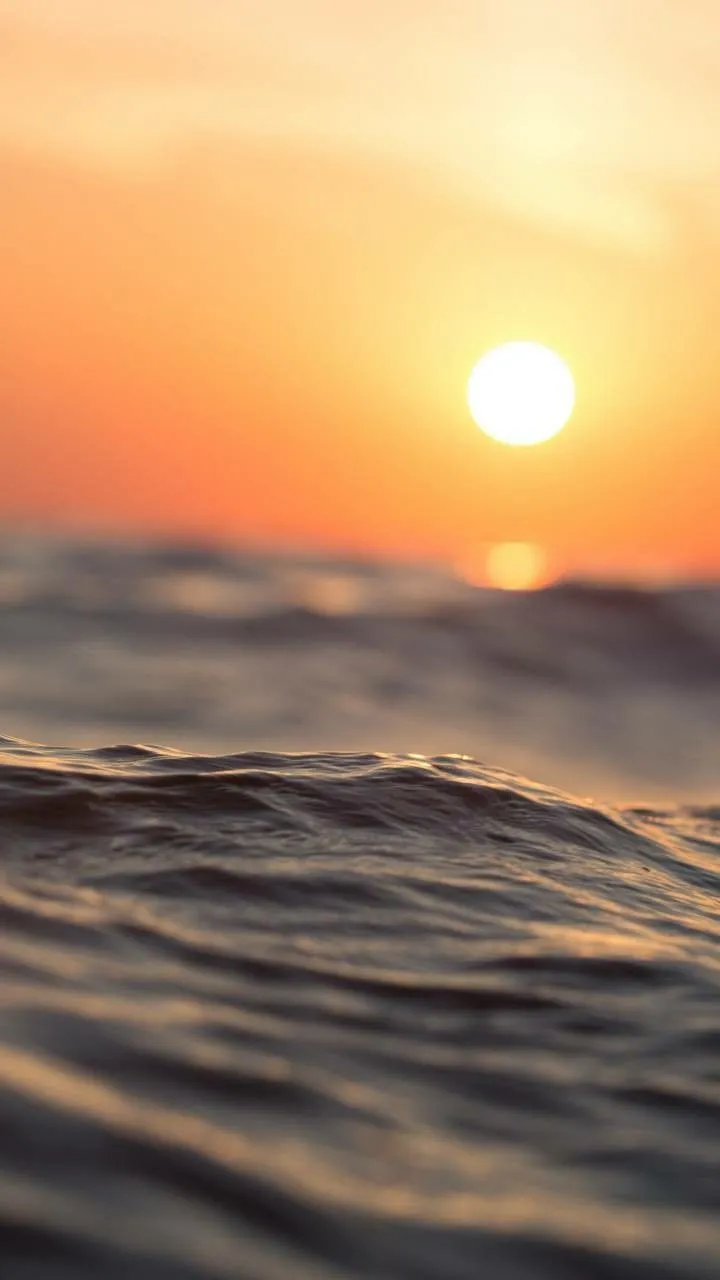 Sun Set Photography
