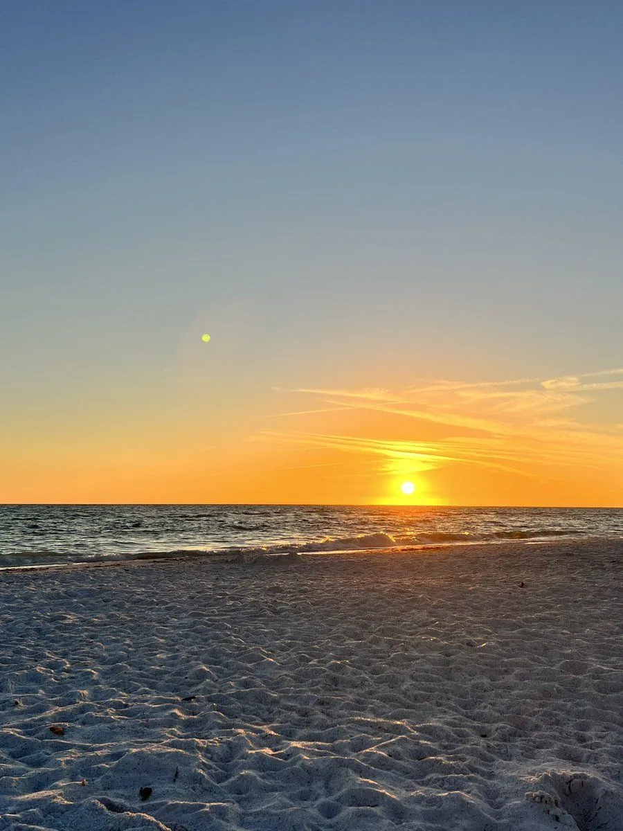 Transfers & Recruits If you enjoy: Living next to the ocean