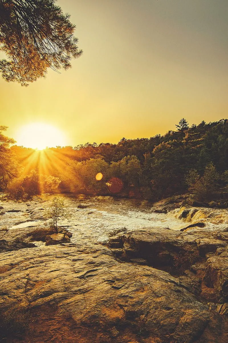 Sunray Through Trees, HD phone wallpaper