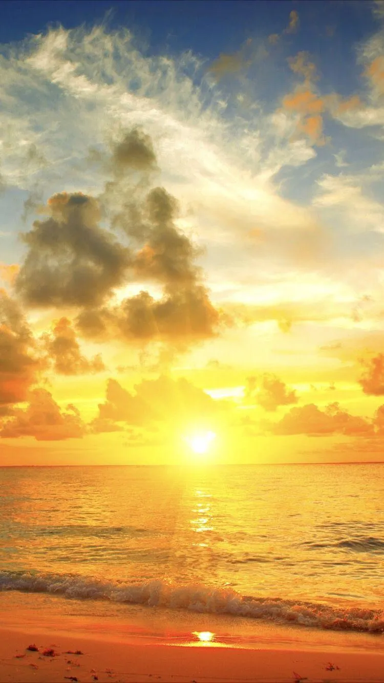 Sunshine Phone Wallpaper