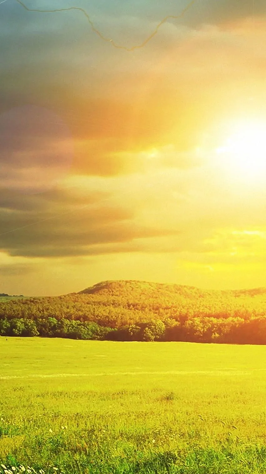 Sunshine HD phone wallpaper