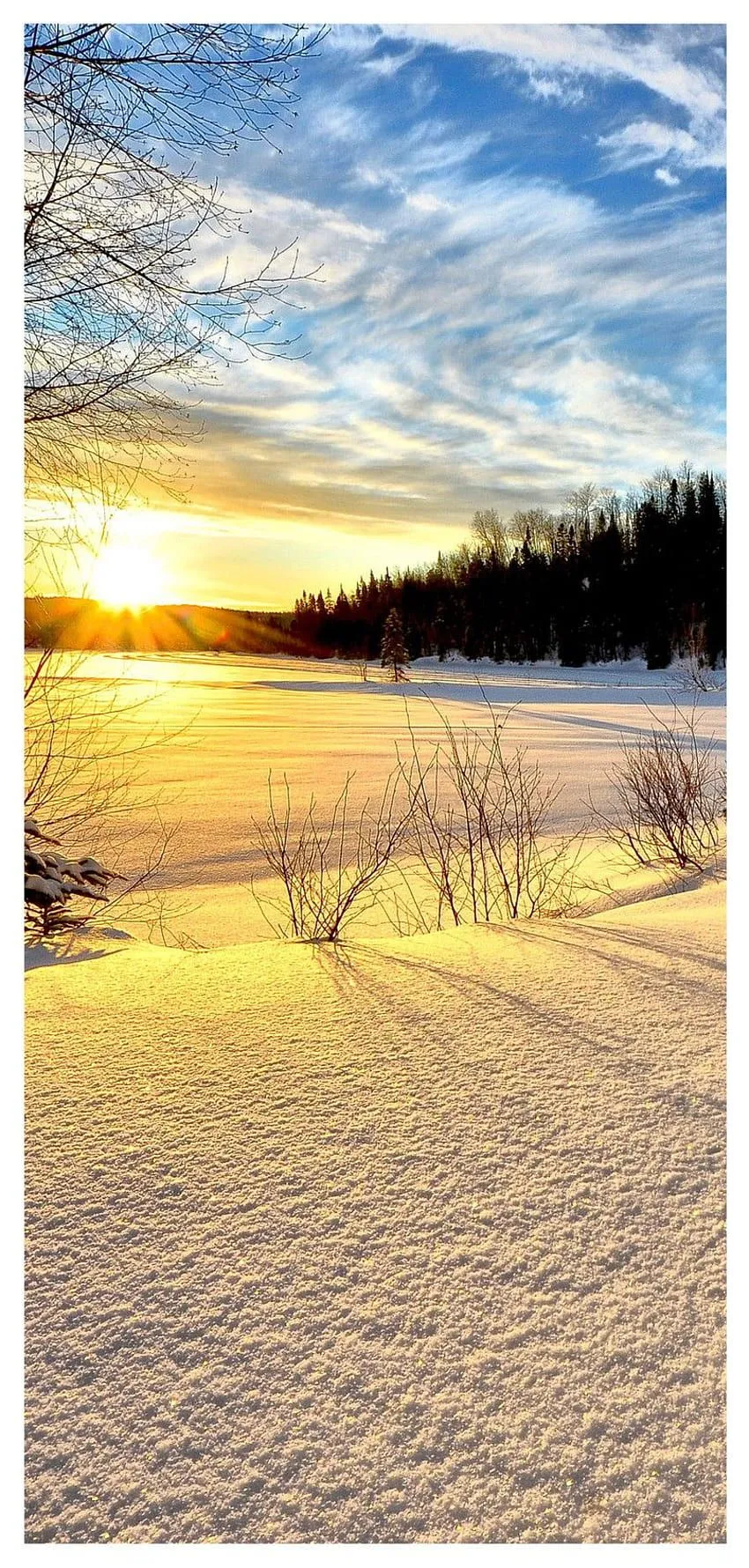 Winter sunshine mobile background HD phone wallpaper