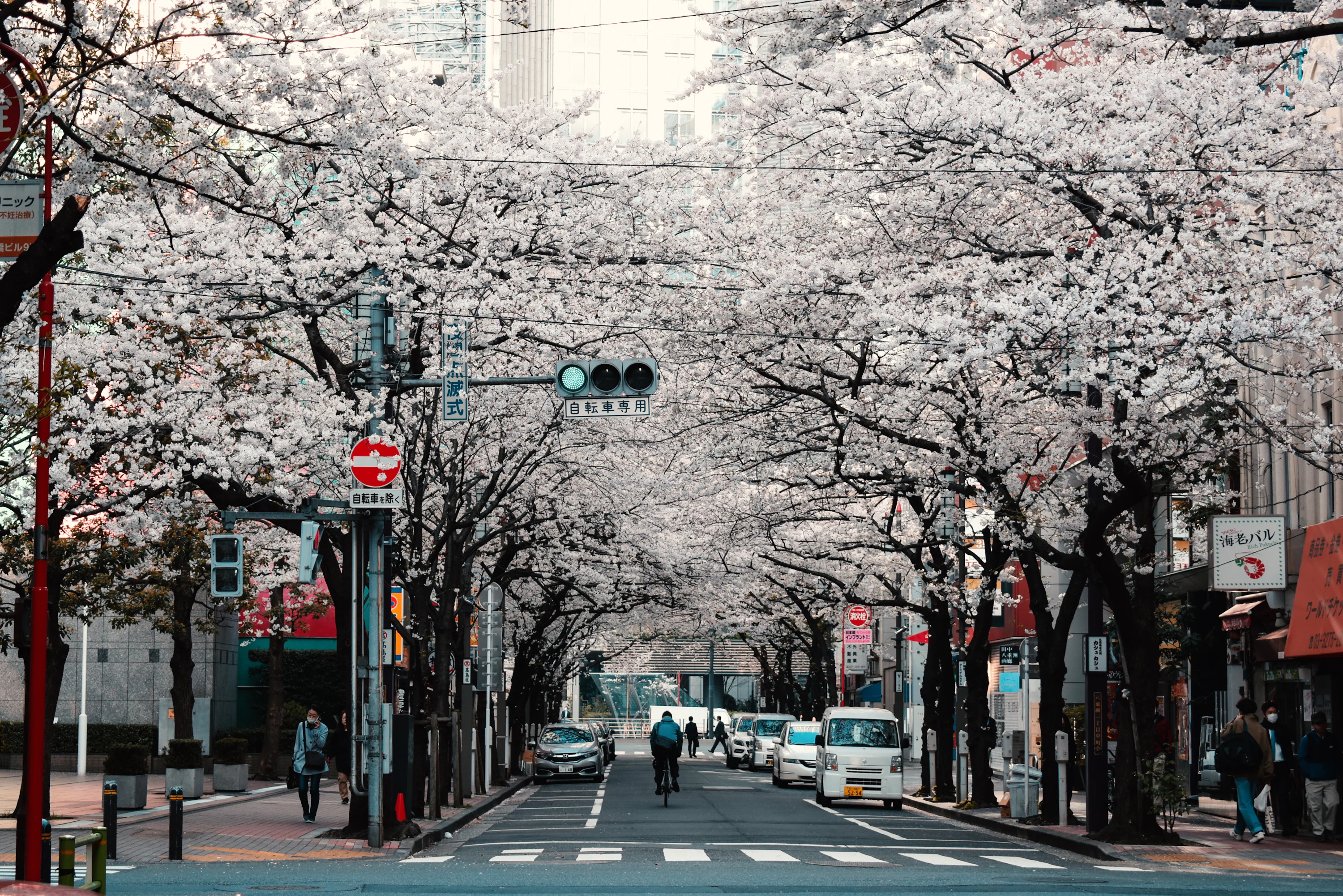 50,Japan City Picture. Download Free Image