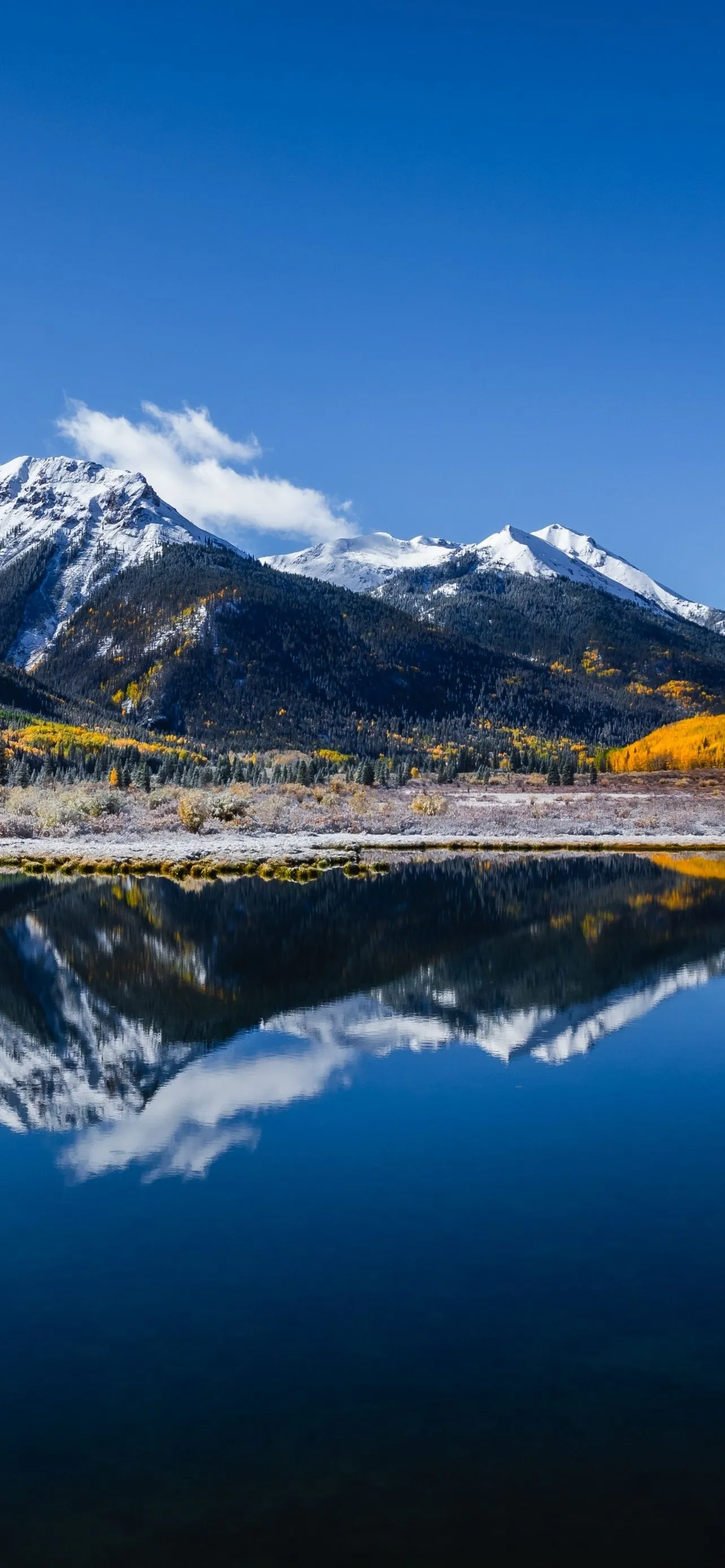 Free HD 8K Nature Wallpaper —