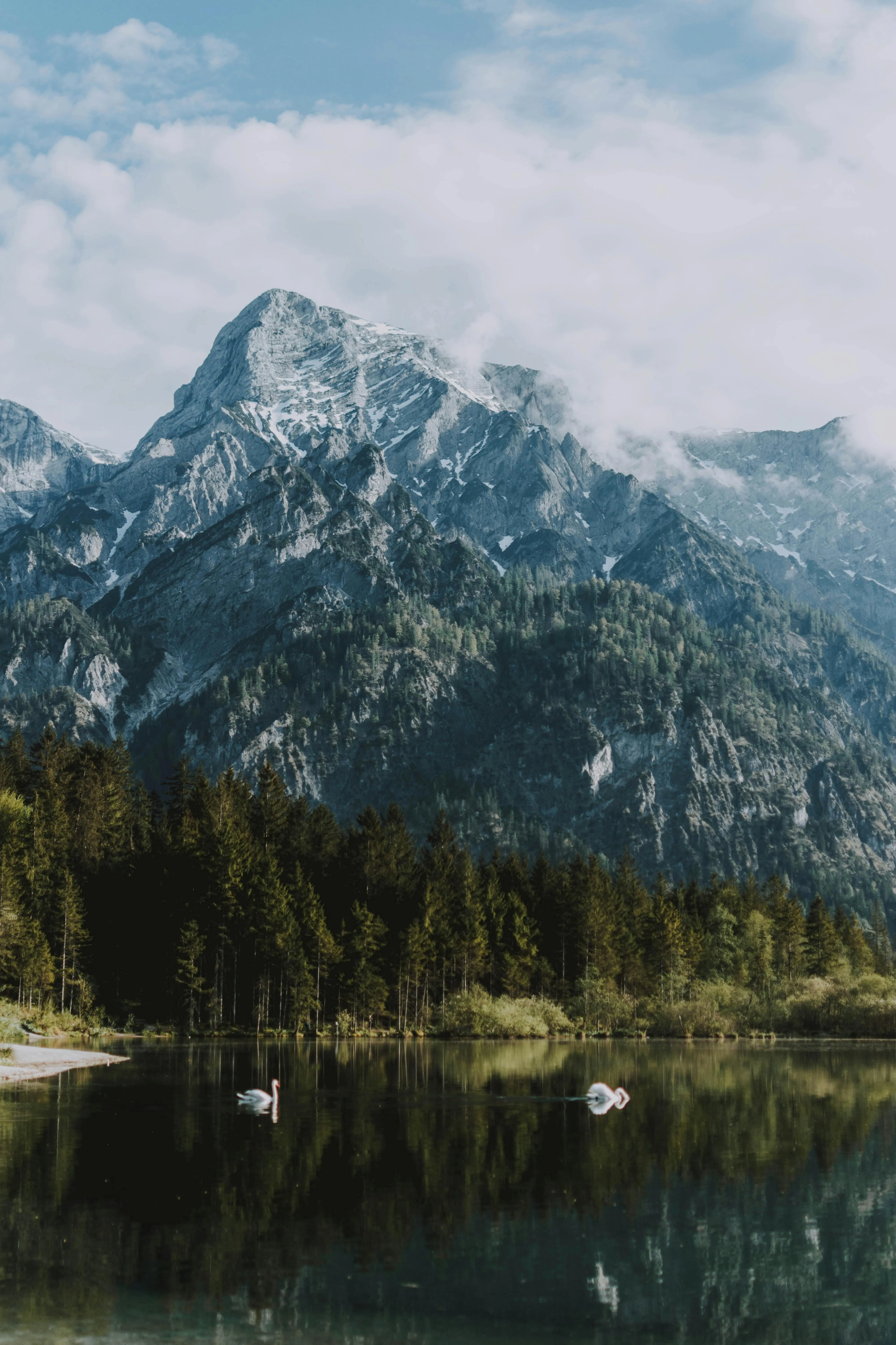 Pure Nature Photo, Download The BEST Free Pure Nature & HD Image