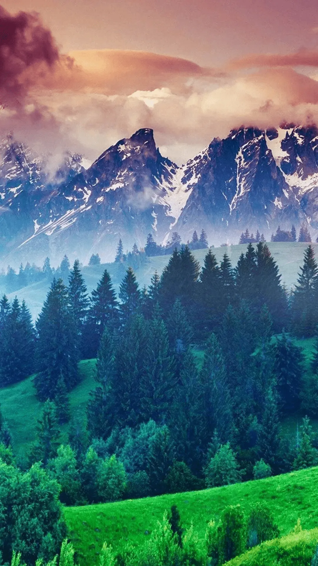 Nature 8k Phone Wallpaper