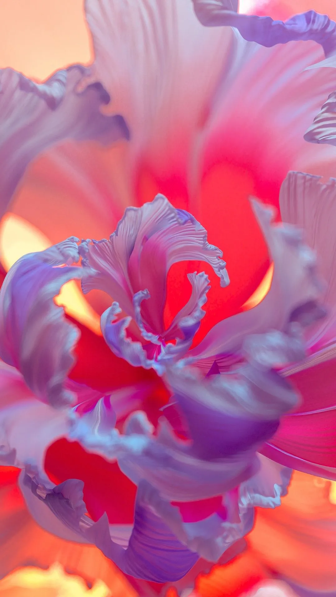 Purple Flower Wallpaper 4K, Floral Background, Colorful