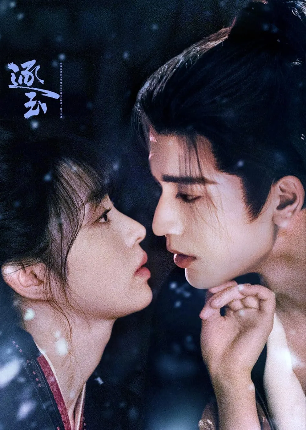 Pursuit of Jade (TV Series 2026– )