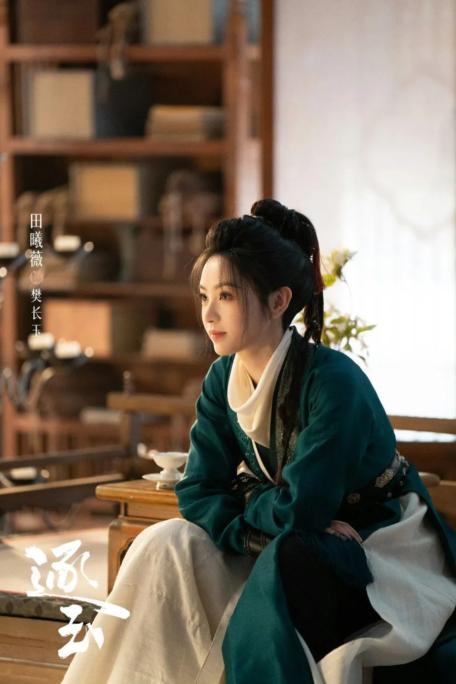 Pursuit of Jade Photo