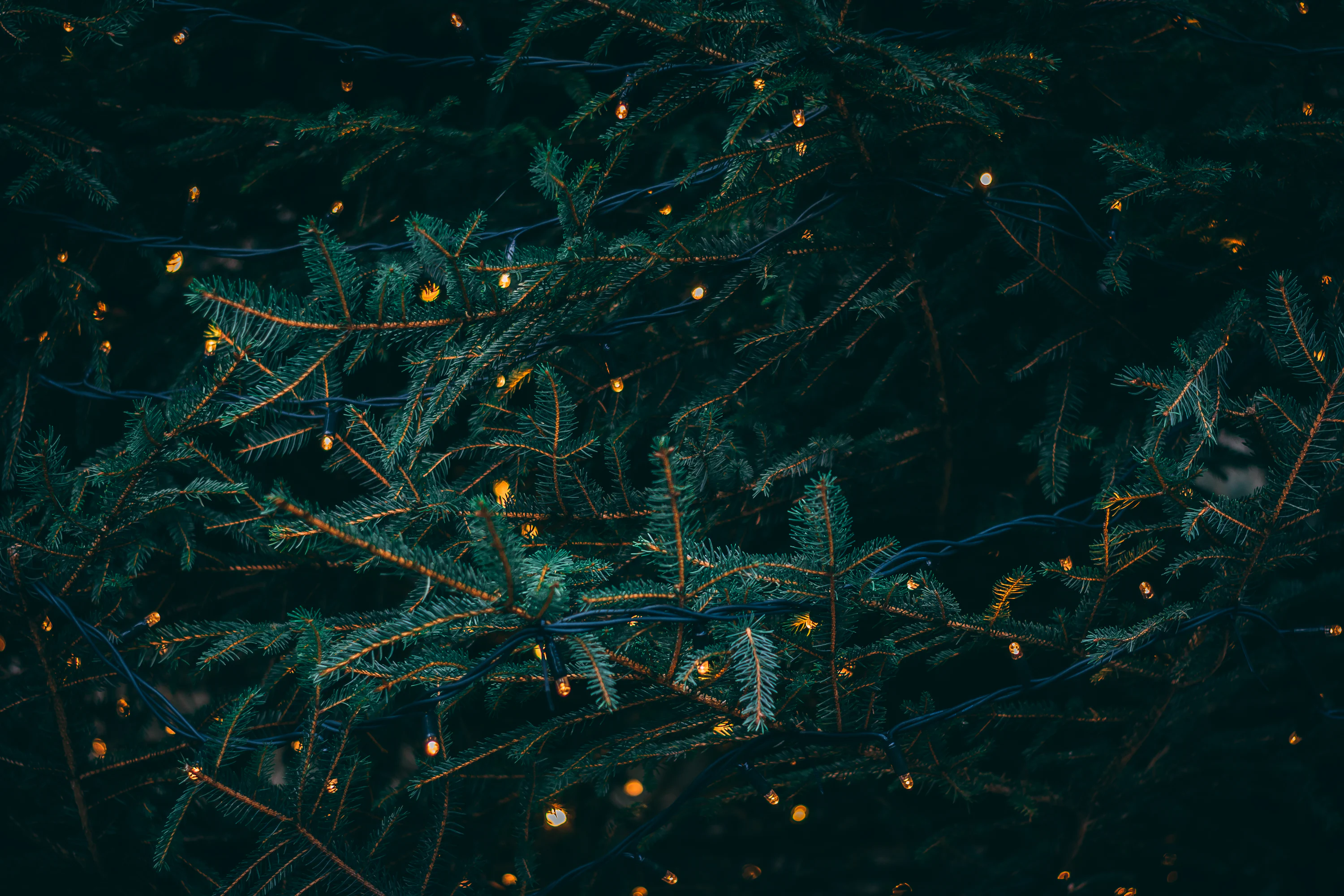Cozy Wallpaper 4K & HD Downloads