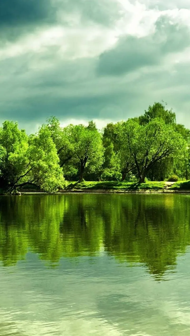 Green Nature, trees, water, HD phone wallpaper