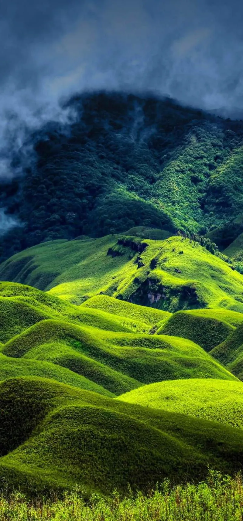 Green, nature, river, HD phone wallpaper