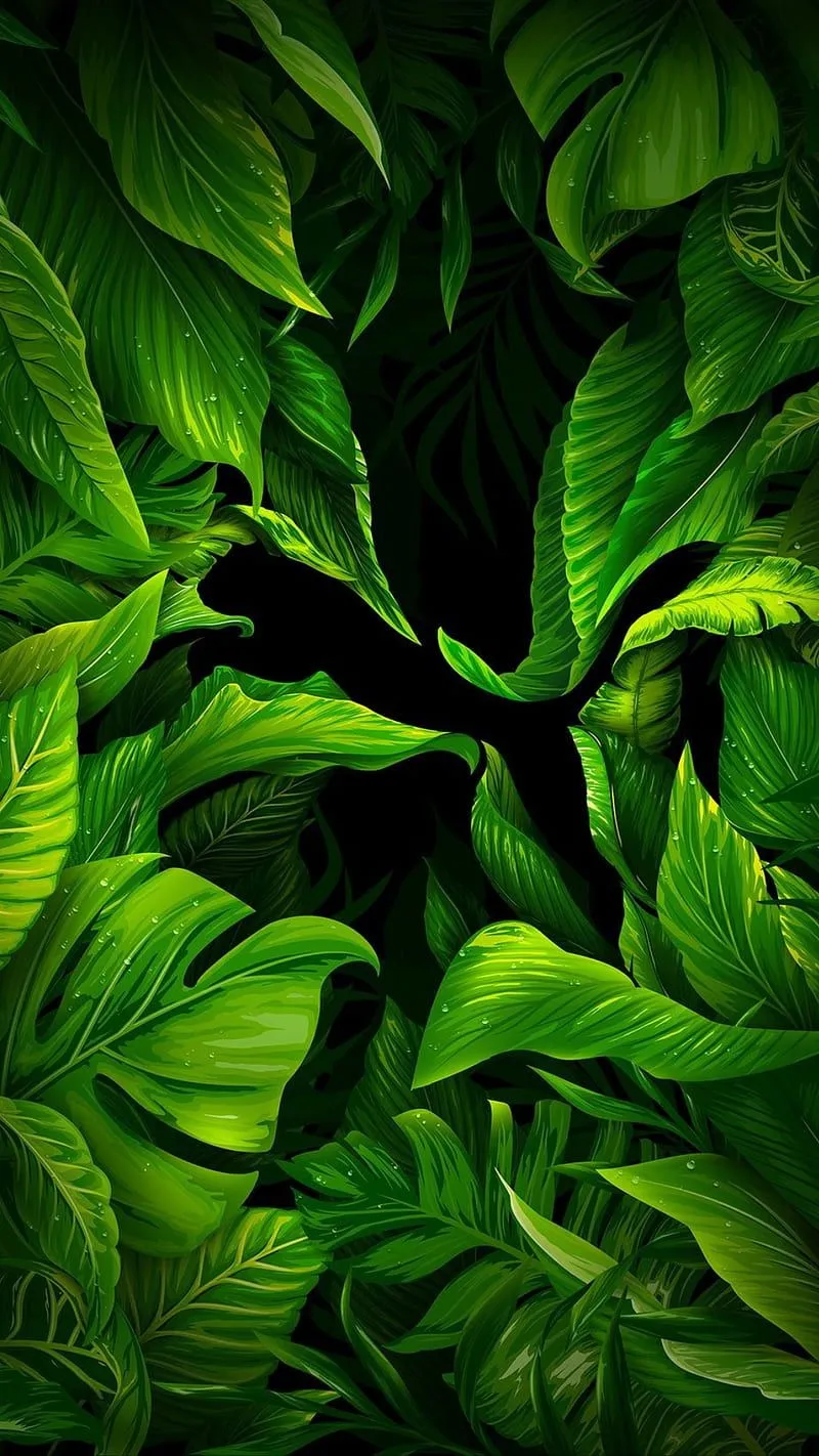 Green nature, green, nature, HD phone wallpaper