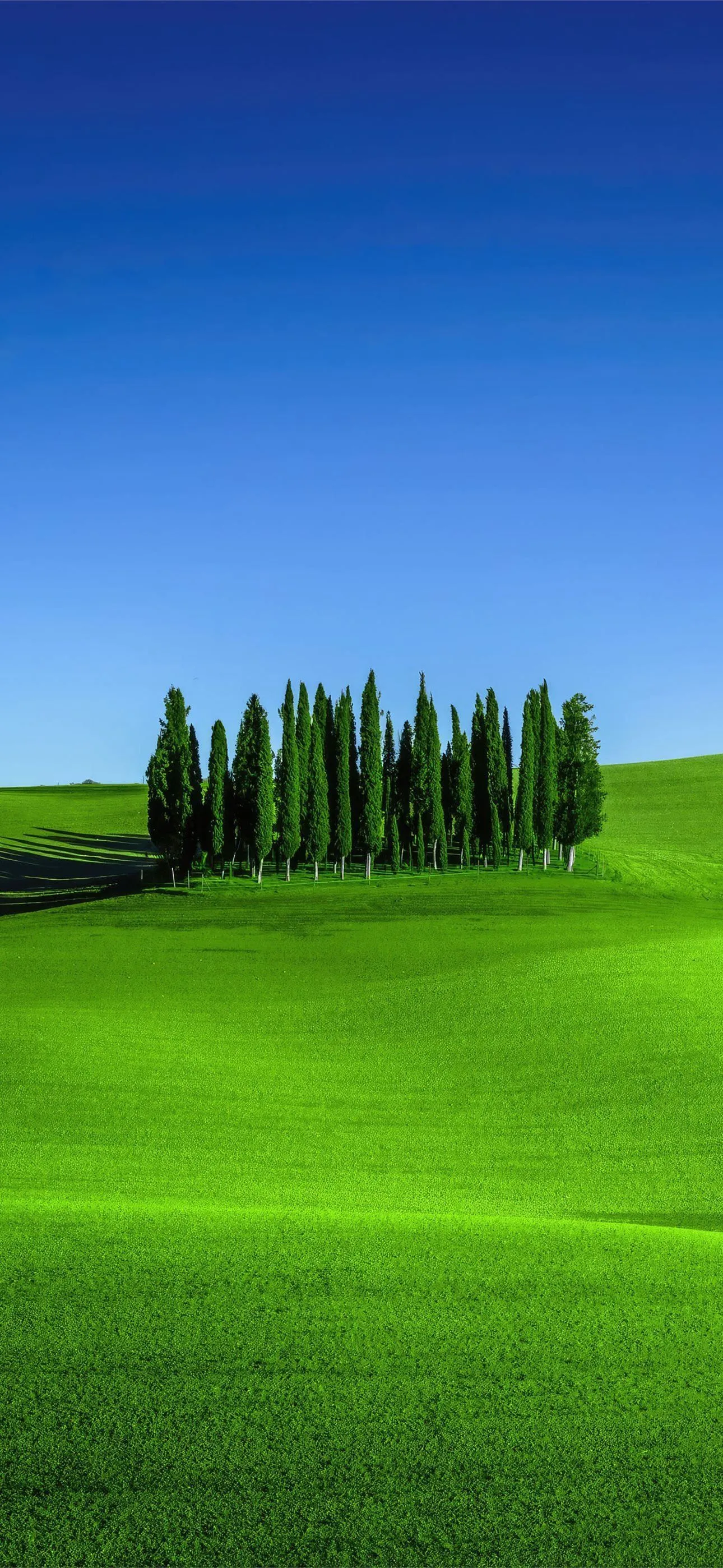 green meadows in tuscany landscape scenery 4k iPhone Wallpaper Free Download