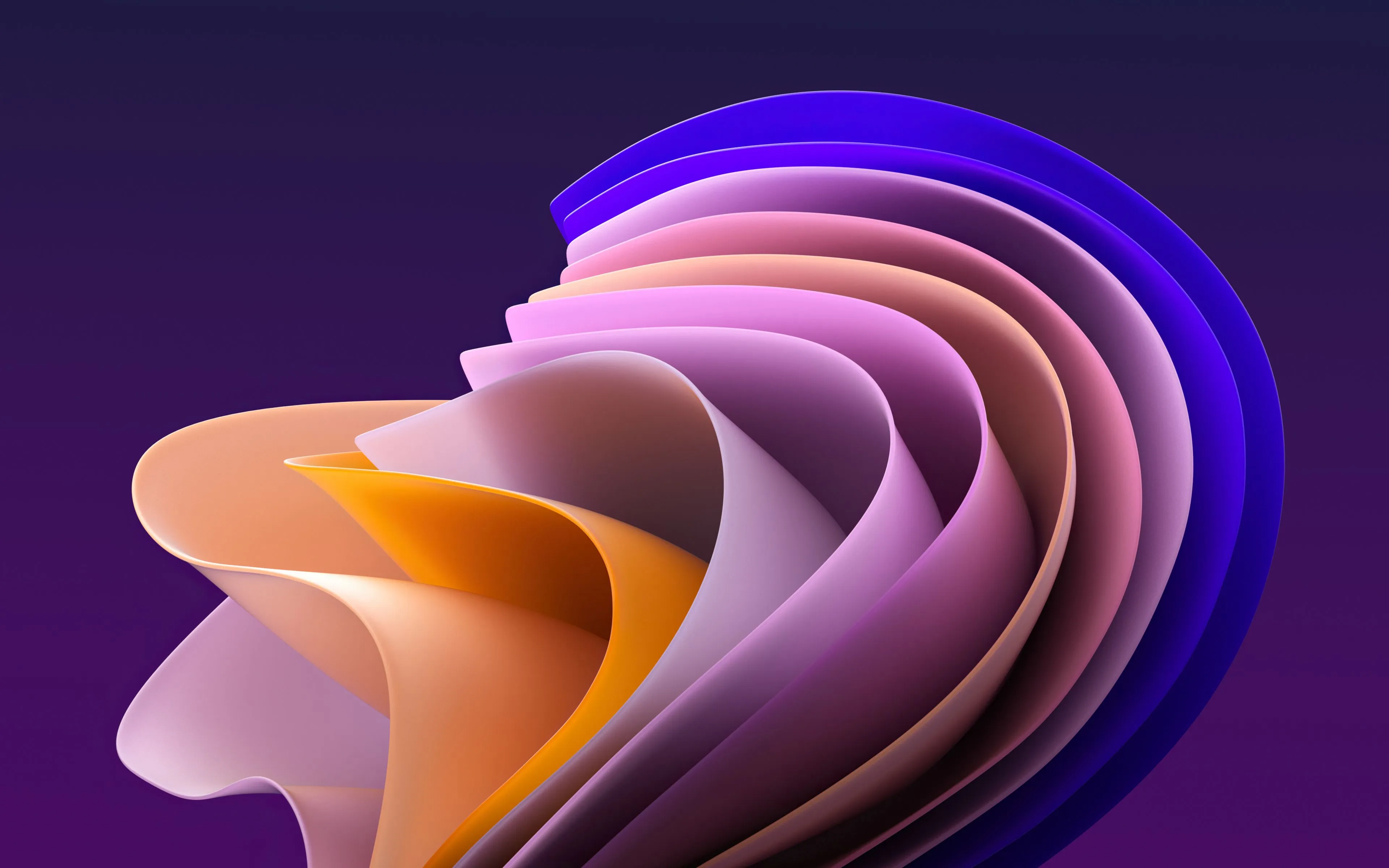 Dark Windows 11 Flower Wallpaper, HD Artist 4K Wallpaper, Image and Background