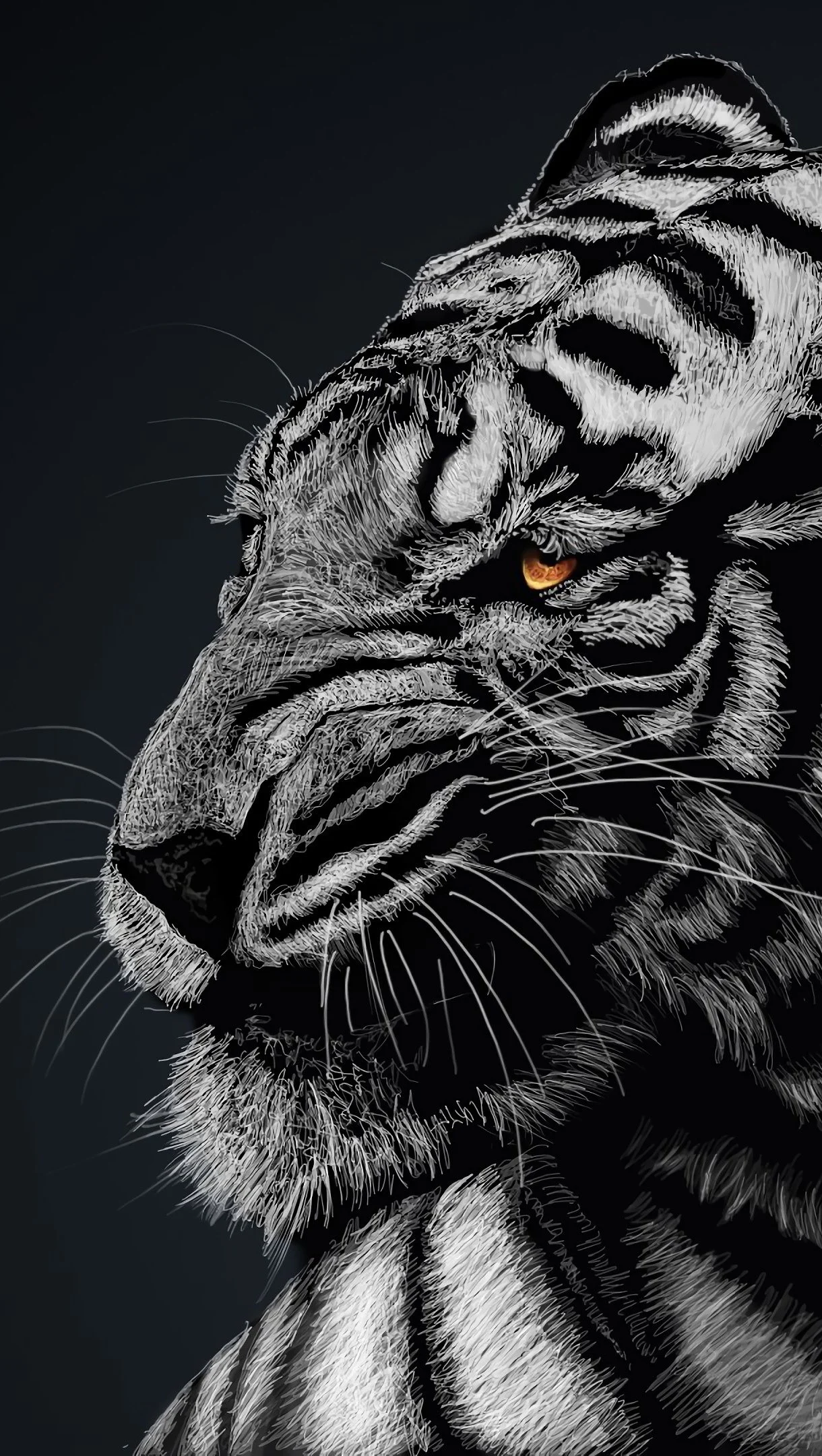 White Tiger Wallpaper 4k for iPhone and Mobile Phone