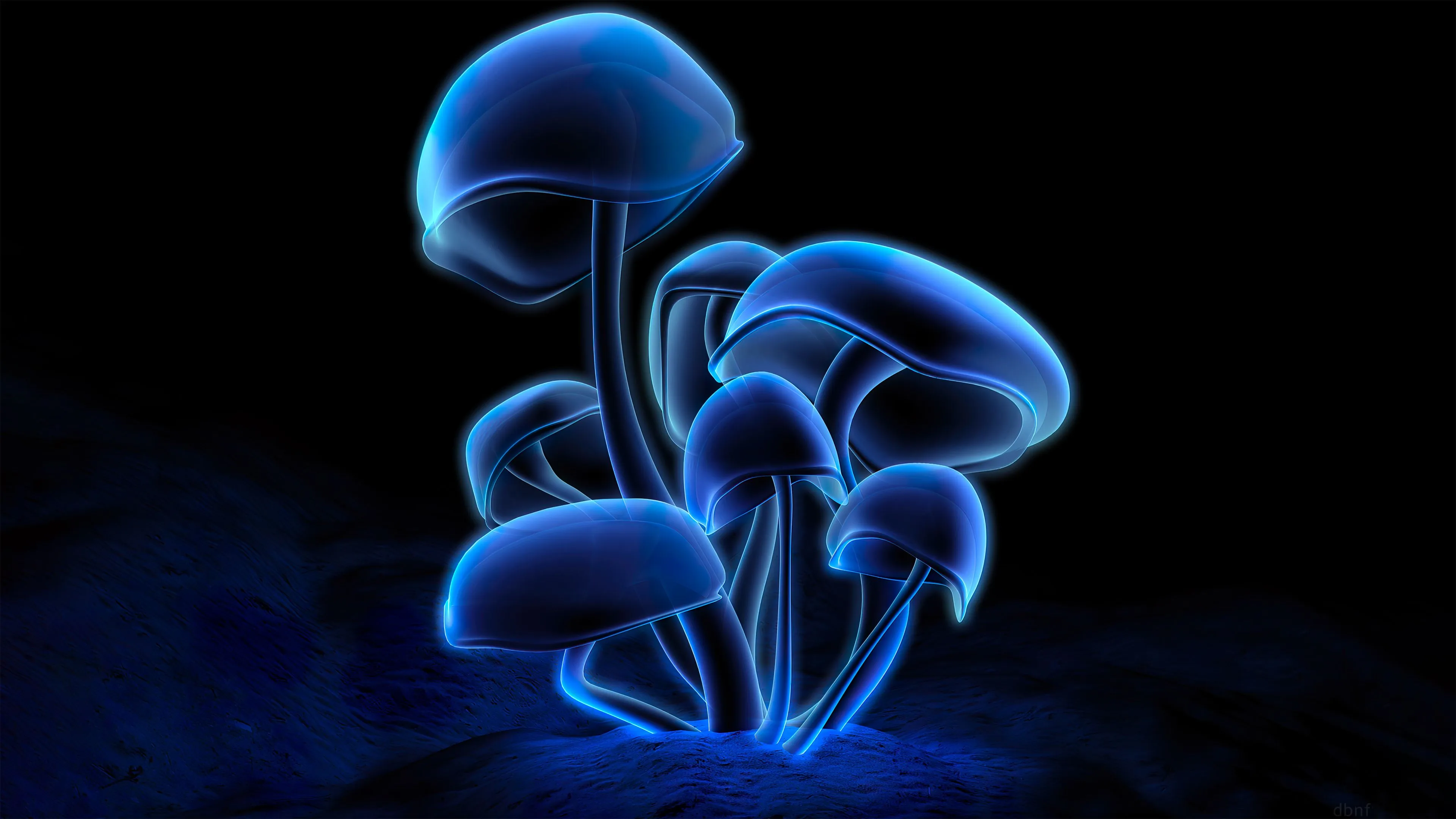 Fluorescence Plants Dark 4k Wallpaper, HD Artist Wallpaper, 4k Wallpaper Image, Background, Photos and Picture