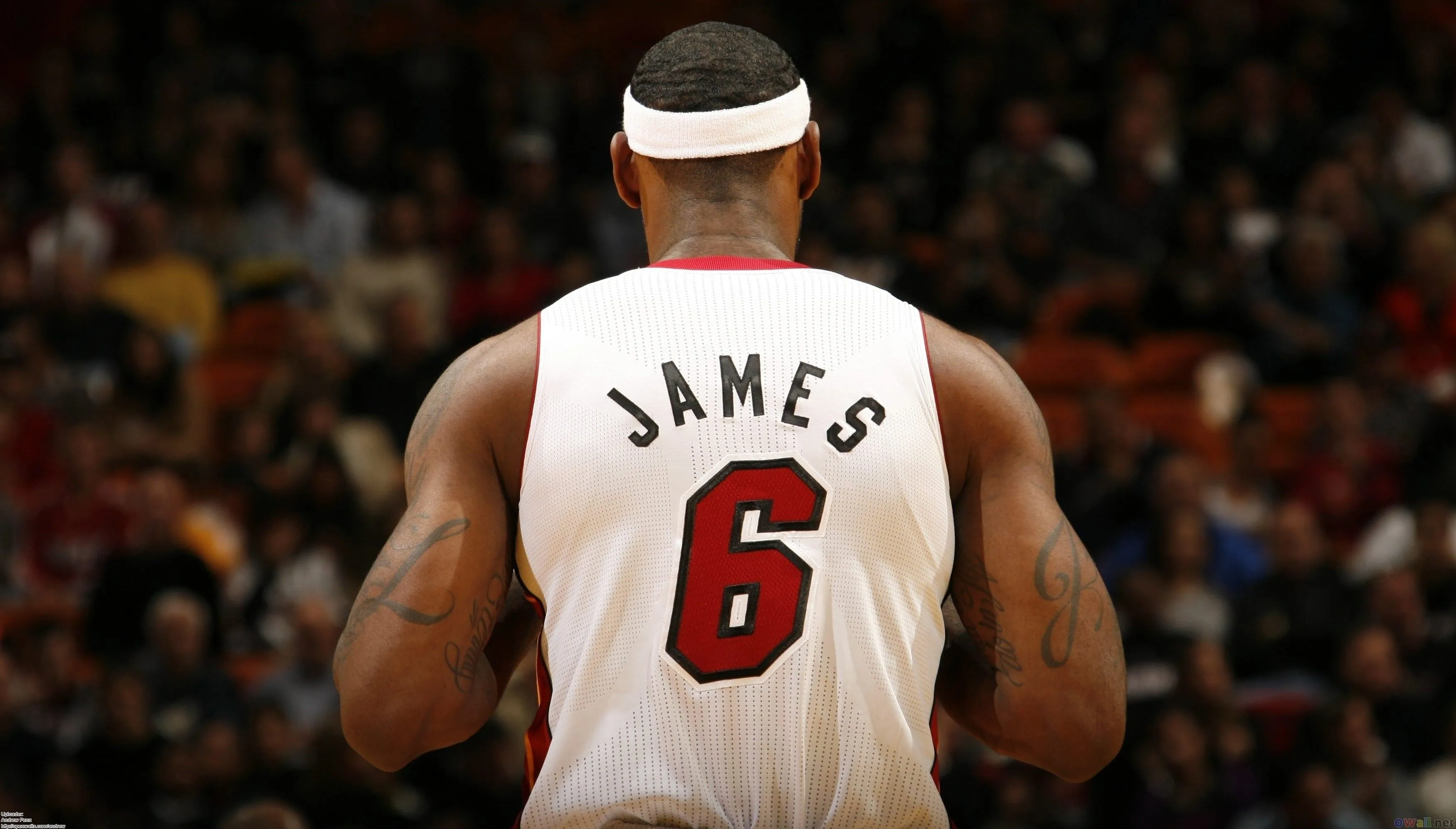 Desktop wallpaper: Lebron James, Basketball, Sports 4K free download for PC. 432246
