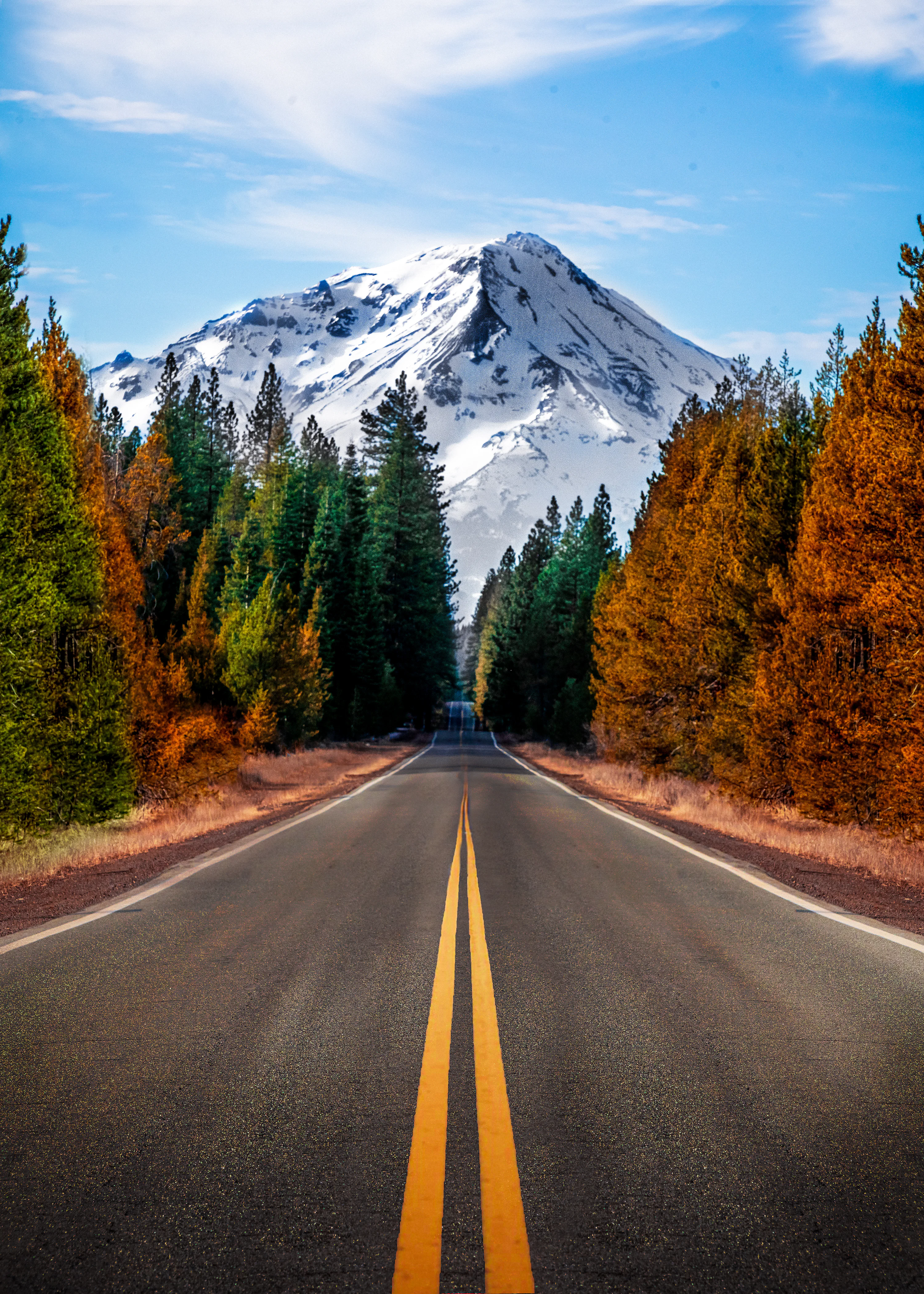 Nature Wallpaper: Free HD Download [4K]