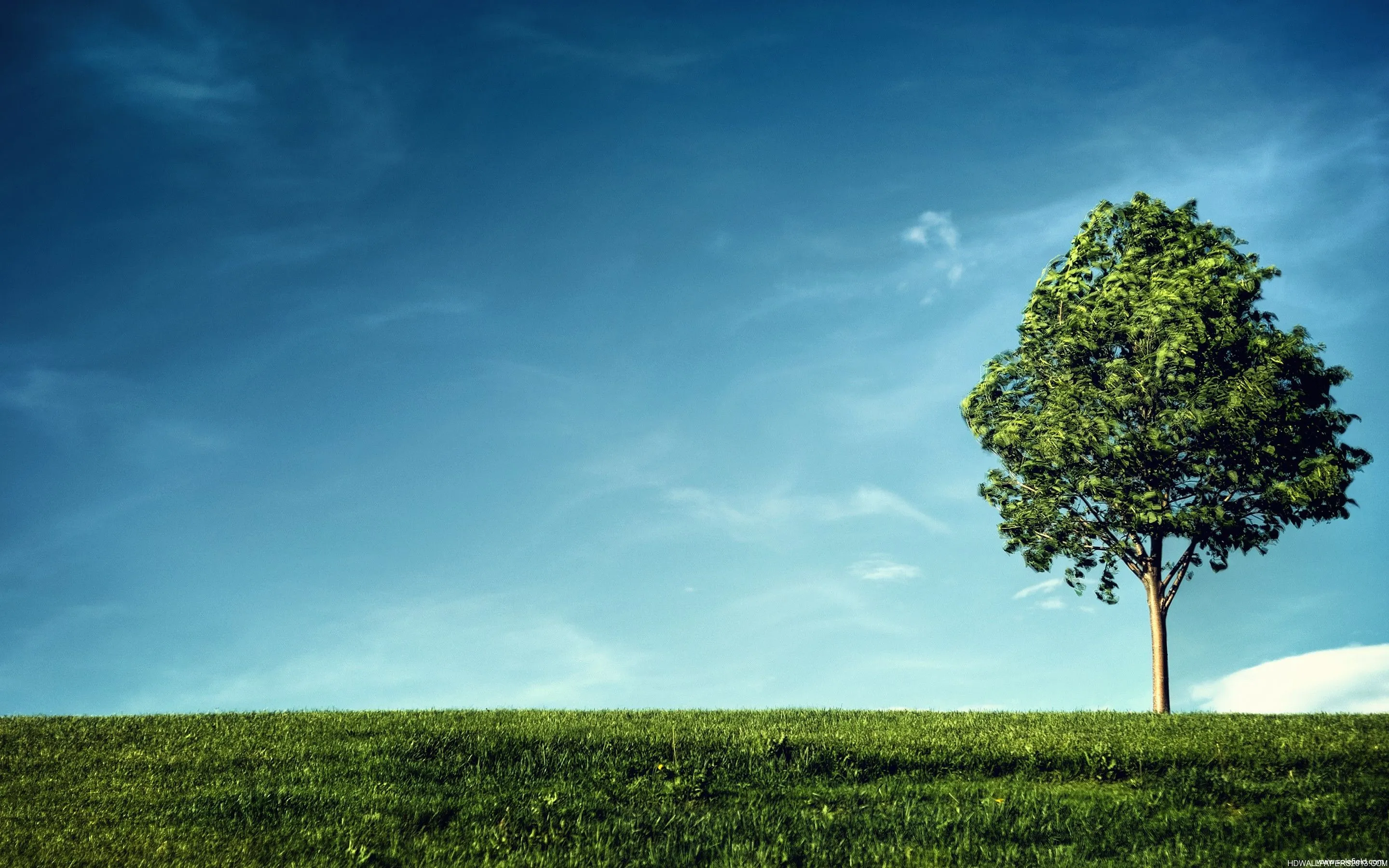 Simple Nature 4K Wallpaper Free 4K Wallpaper