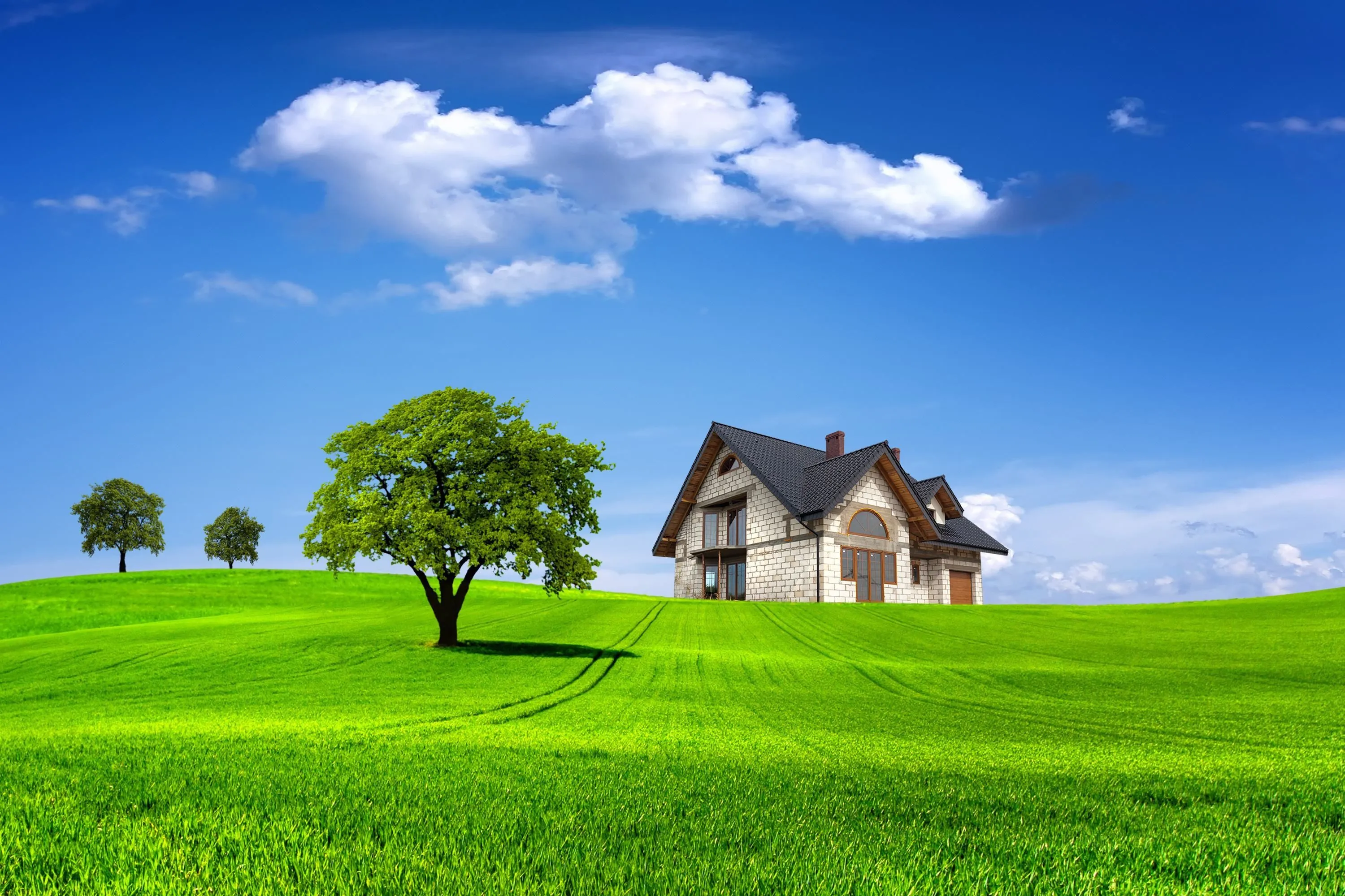 Best Nature Wallpaper ideas. nature wallpaper, nature, beautiful nature
