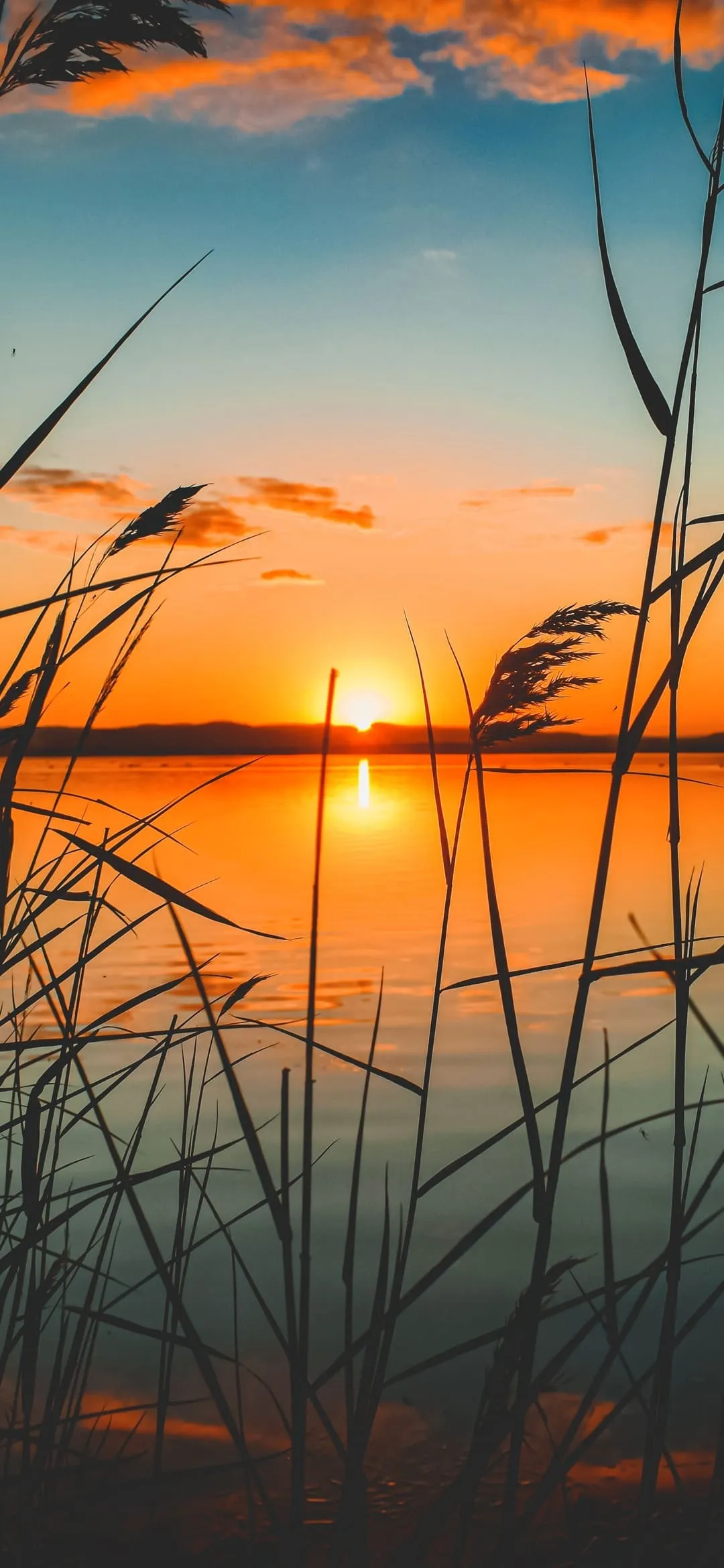 Sunset Wallpaper Sunset Wallpaper [ HQ ]