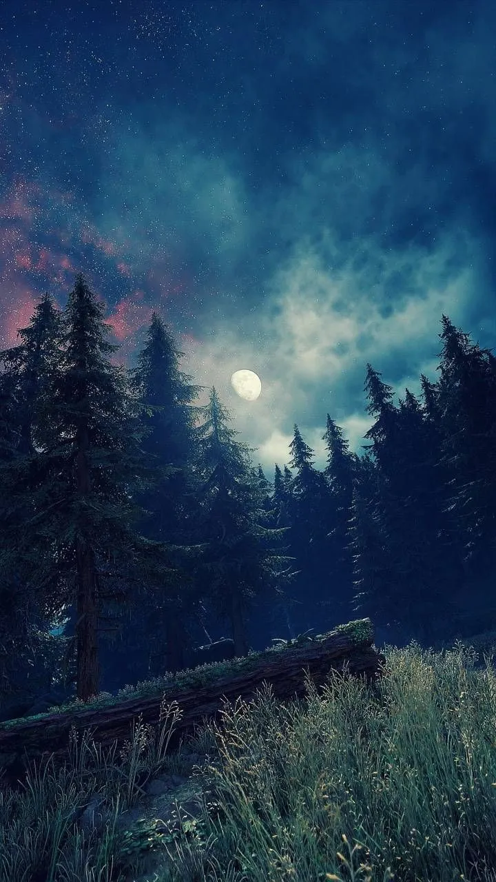 Night Forest Phone Wallpapers - Wallpaper Cave