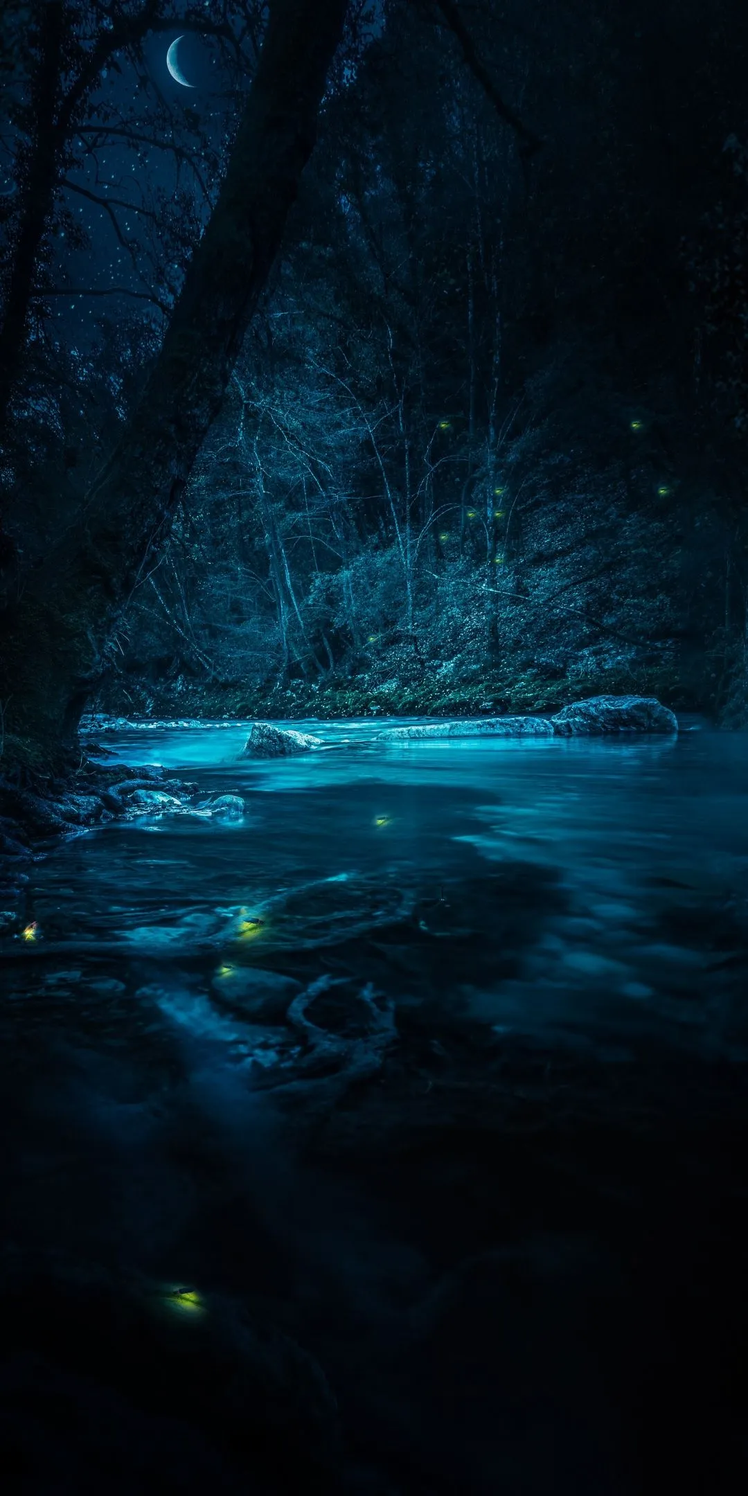 Forest Wallpaper 4K, River, Night, Dark, Magical