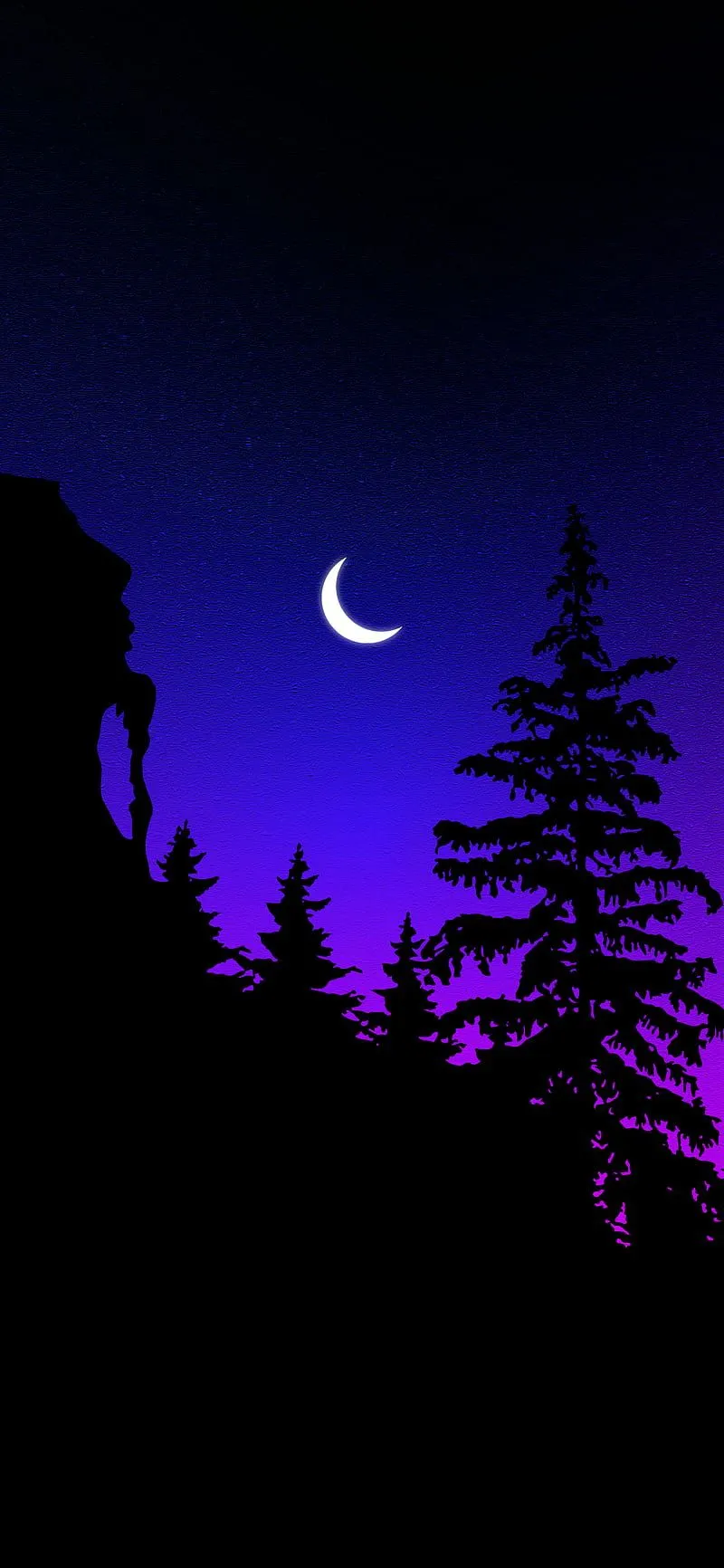 IPHONE IN THE FOREST, Beautiful Night Forest, HD phone wallpaper