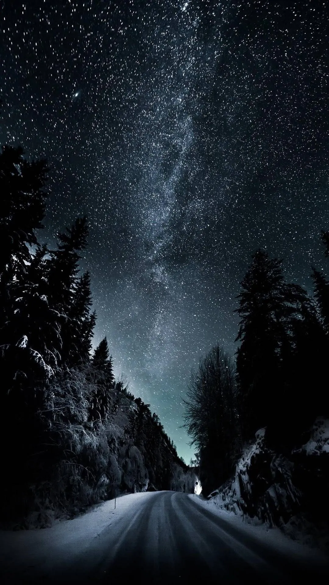 Forest Milky Way Road mobile wallpaper Mobile Walls