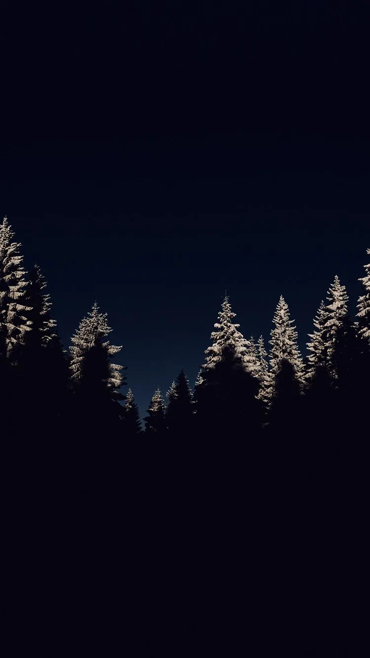 iPhone X wallpaper. wood winter night mountain dark