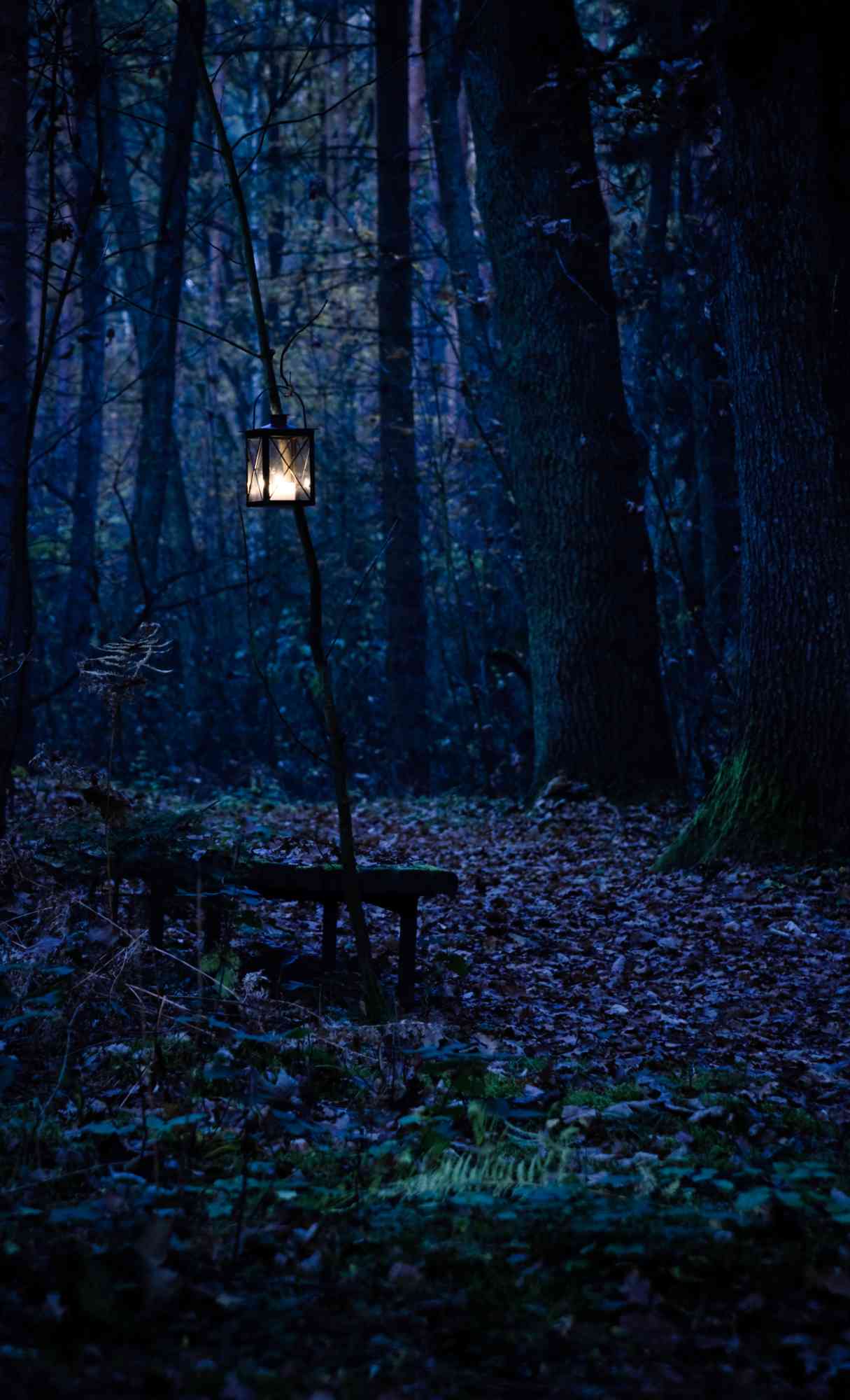 Best Dark or Black iPhone Wallpaper iPhone Background [FREE Download]