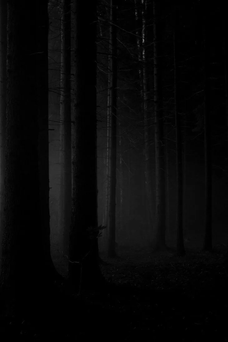 Dark forest phone wallpaper
