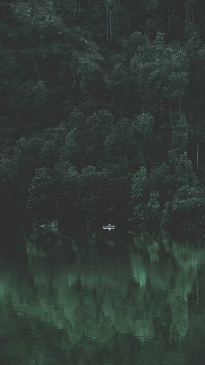 Relaxing Nature Mobile Wallpaper.