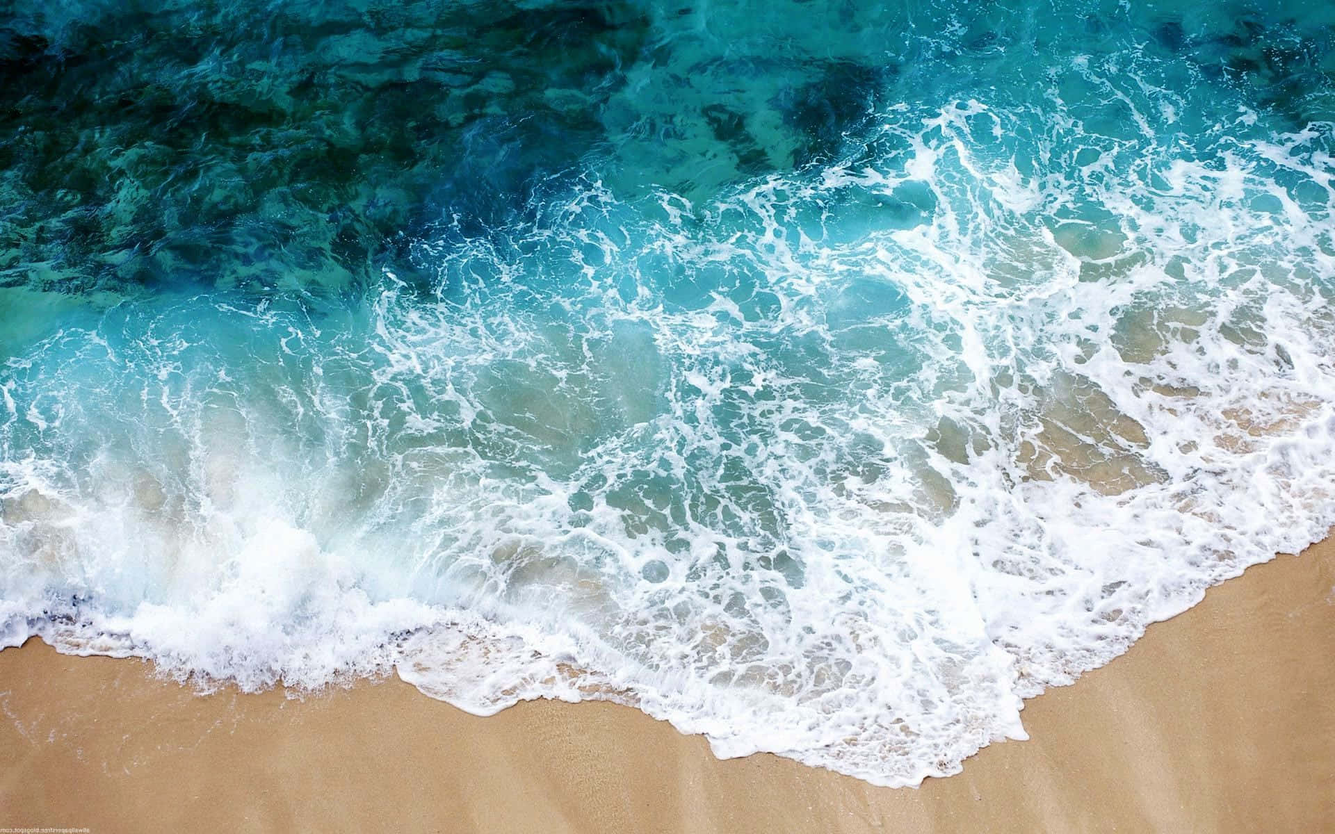 Coastal Aesthetic Wallpaper