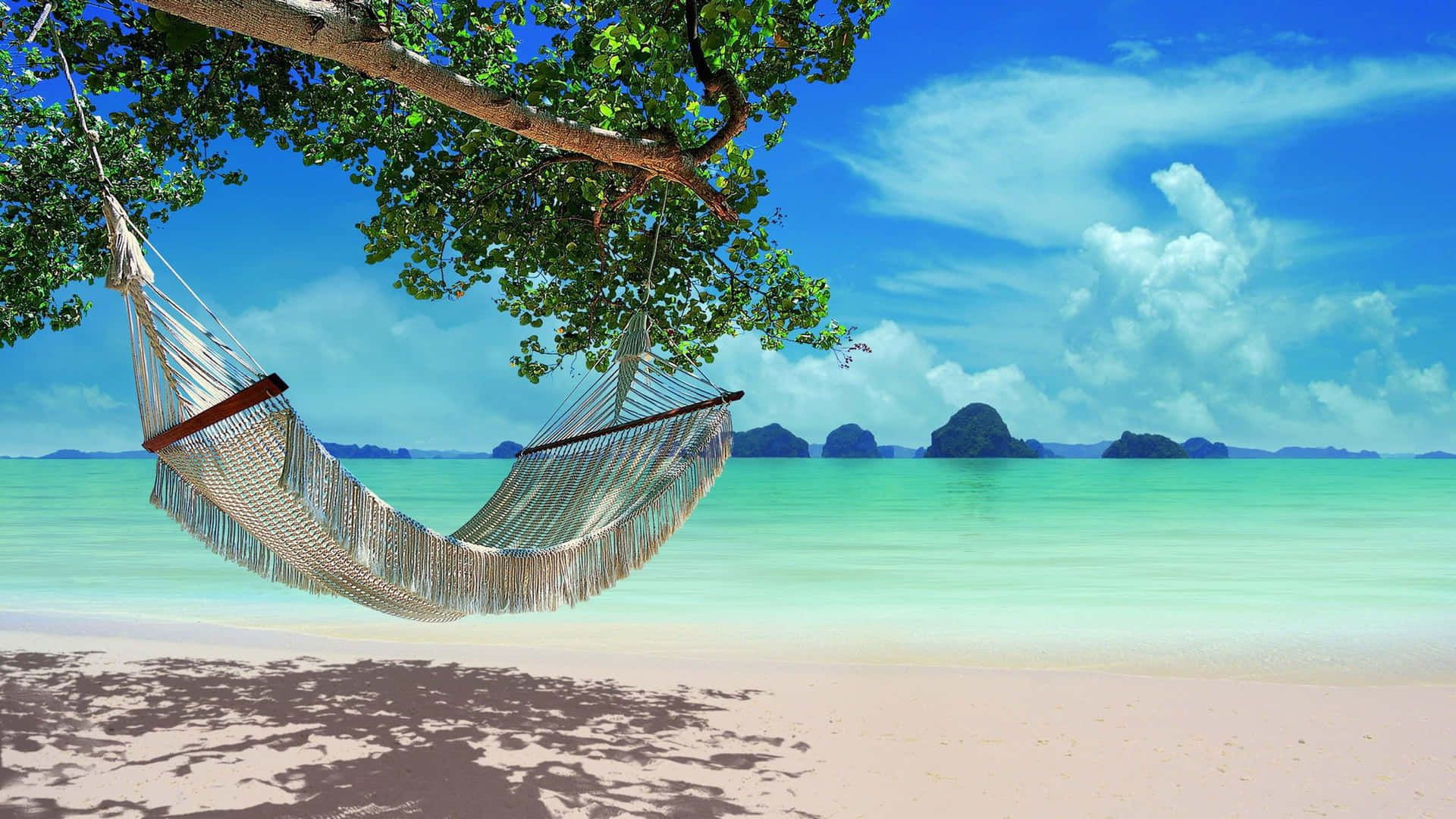 Download Tranquil Ocean Sunset on a Rocky Beach
