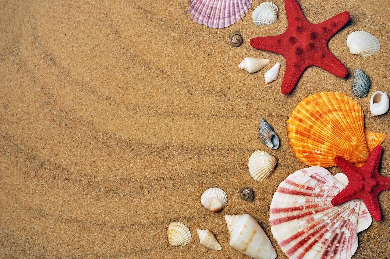 Free Beach Wallpaper & Beach Image