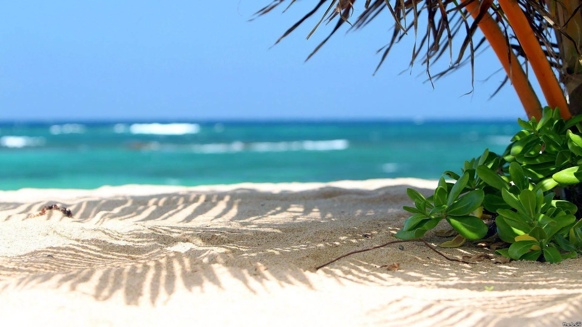 Download Fine Sand Beach Desktop Wallpaper