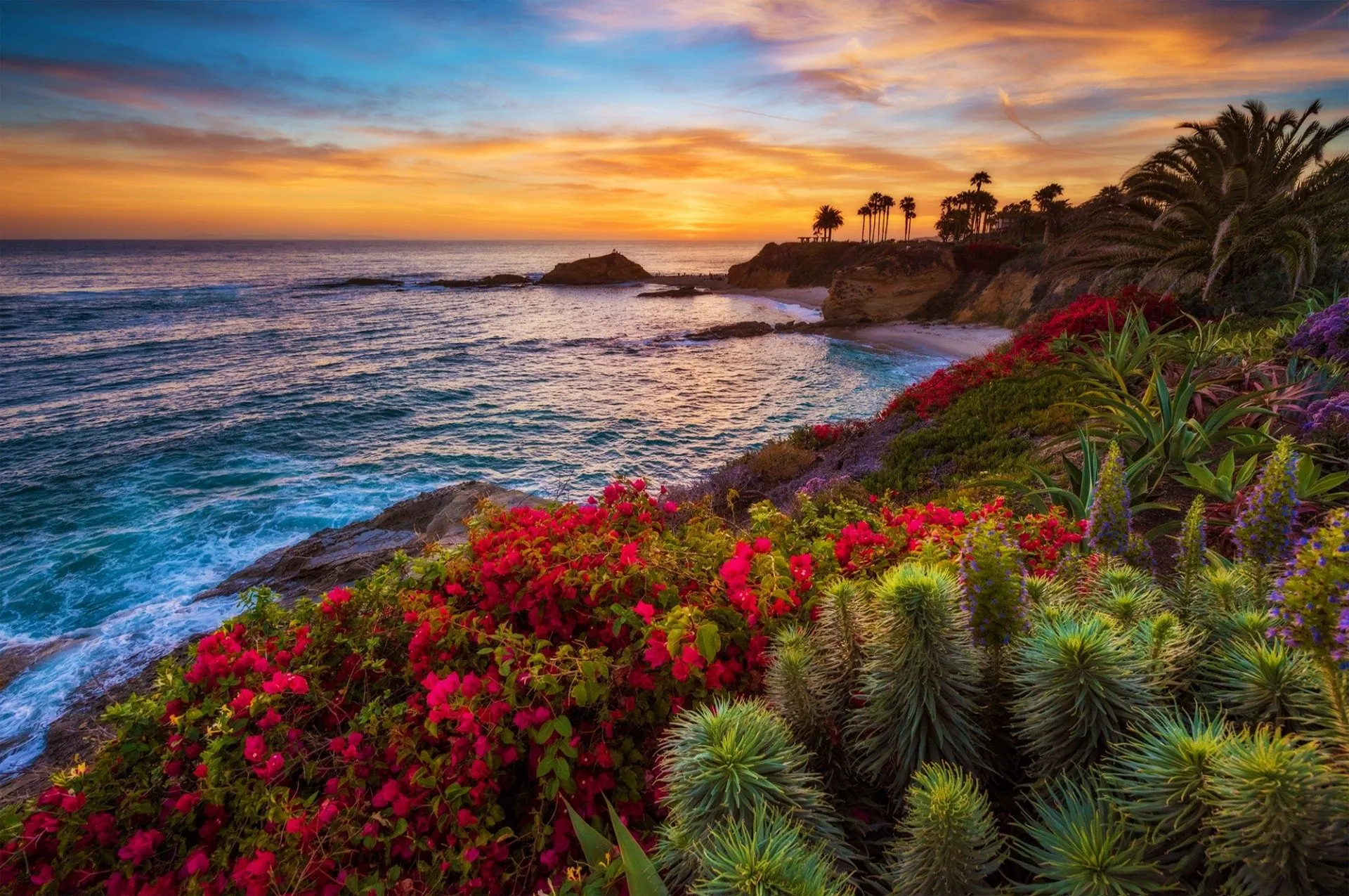 Laguna Beach Wallpaper