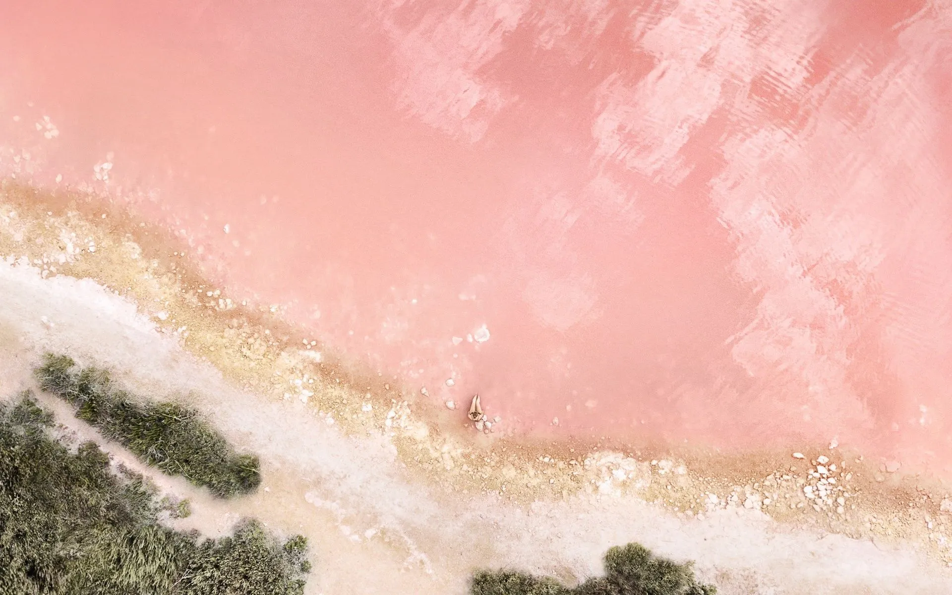 Beach Wallpaper 4K, Baby pink, Seashore, Aerial view