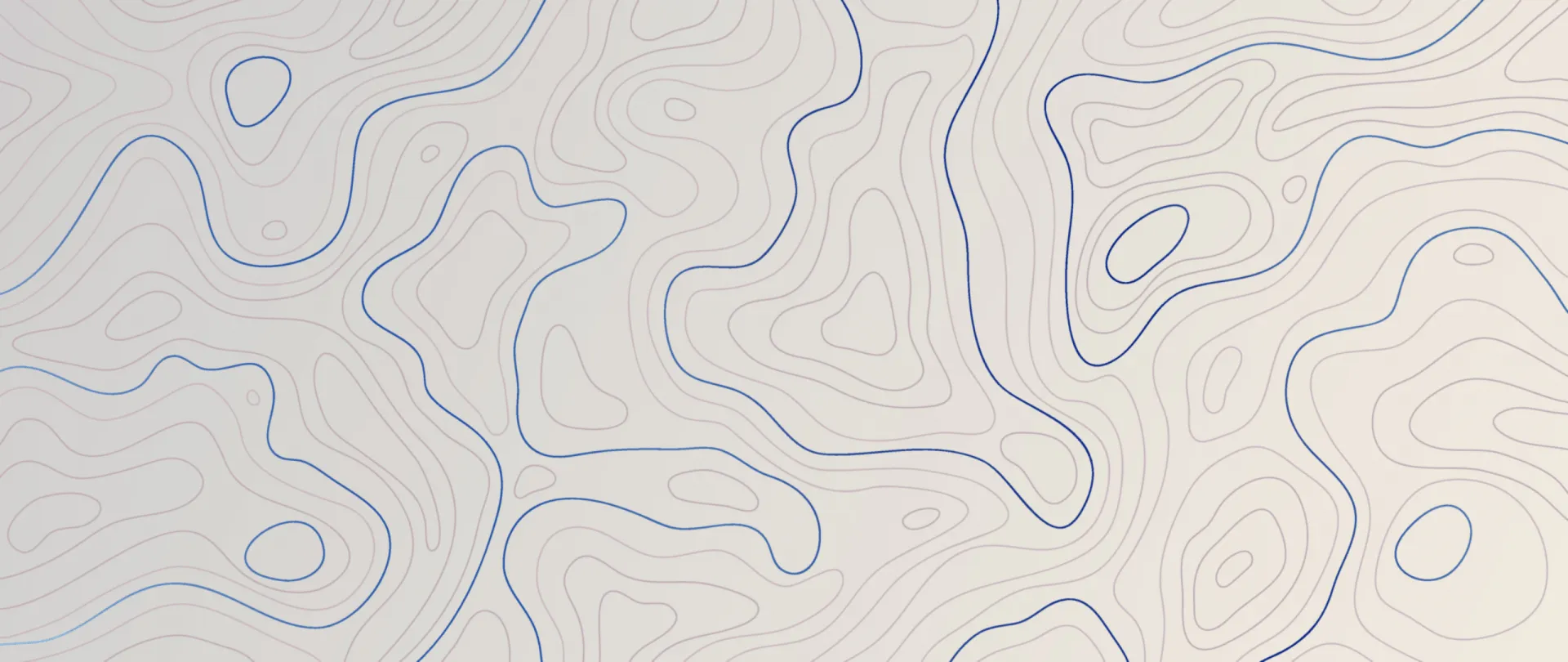 WHITE AND BLUE TOPOGRAPHY