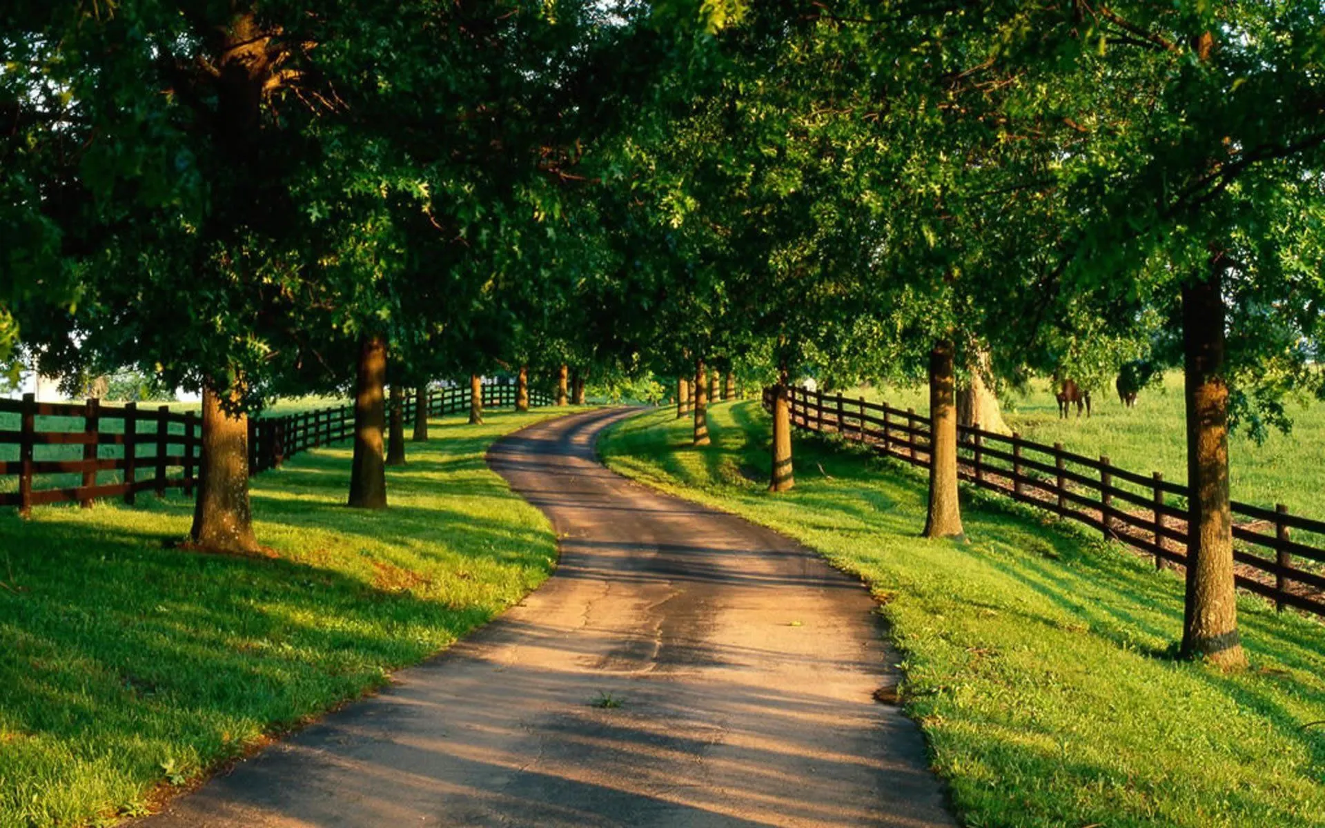 Scenic Country Road HD Wallpaperx1200