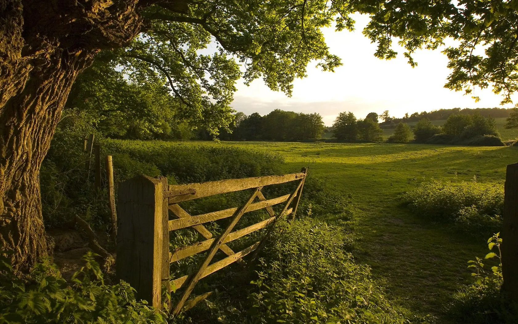 Country Wilderness Nature Landscape Wallpaper