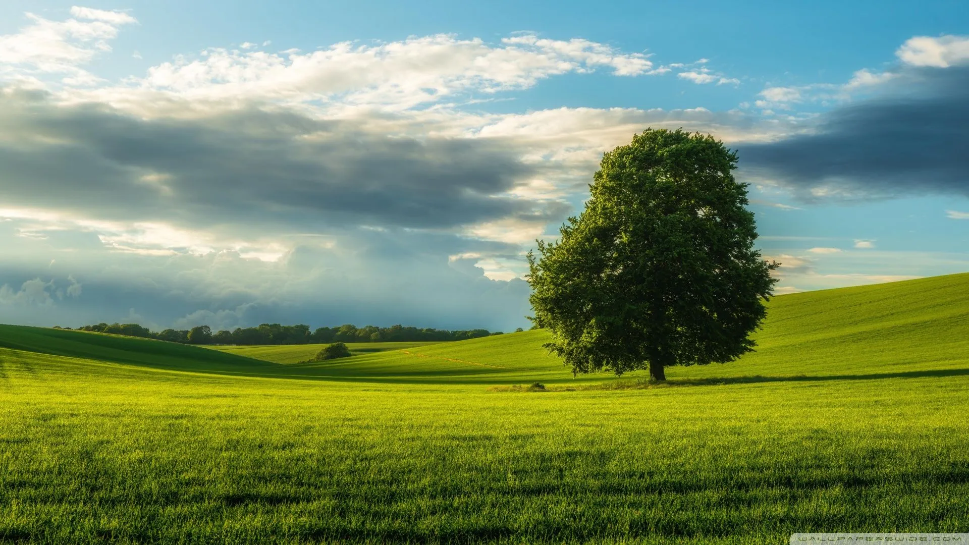 Summer Country Landscape 4K UHD Wallpaper for UltraHD Desktop and TV, Widescreen and UltraWide Display, Dual Monitor