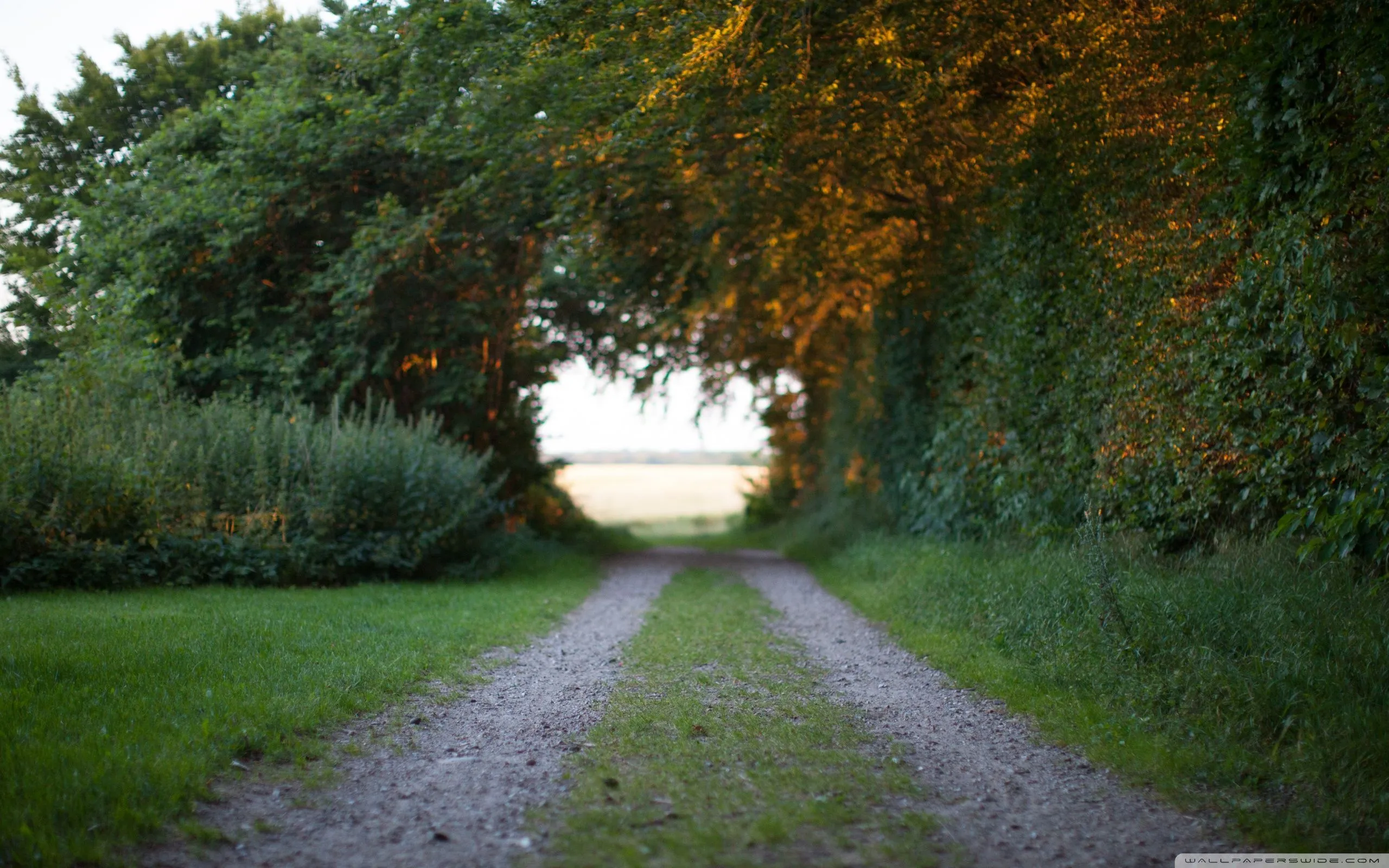 Country Road 4K UHD Wallpaper for UltraHD Desktop and TV, Widescreen and UltraWide Display, Smartphone and Tablet Devices