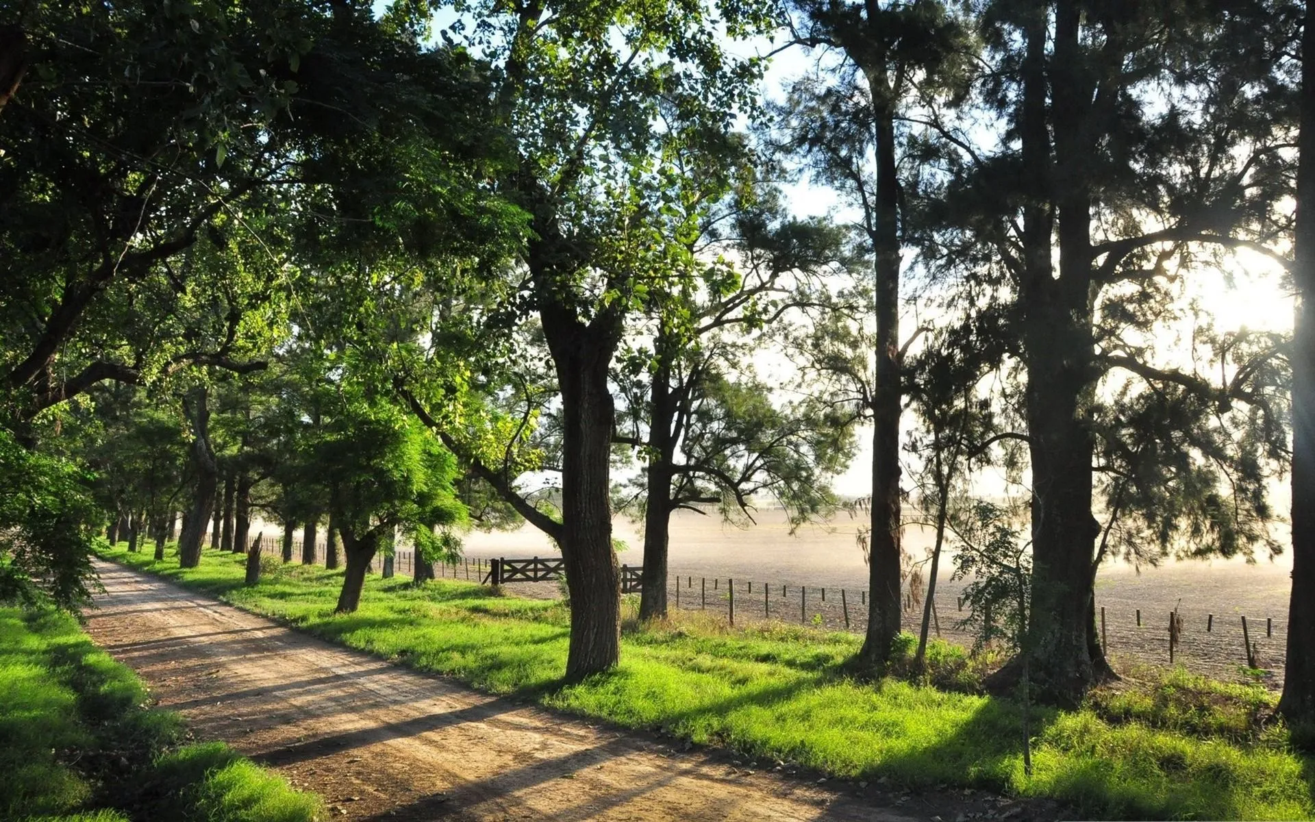 Country Dirt Road Nature Desktop Wallpaper