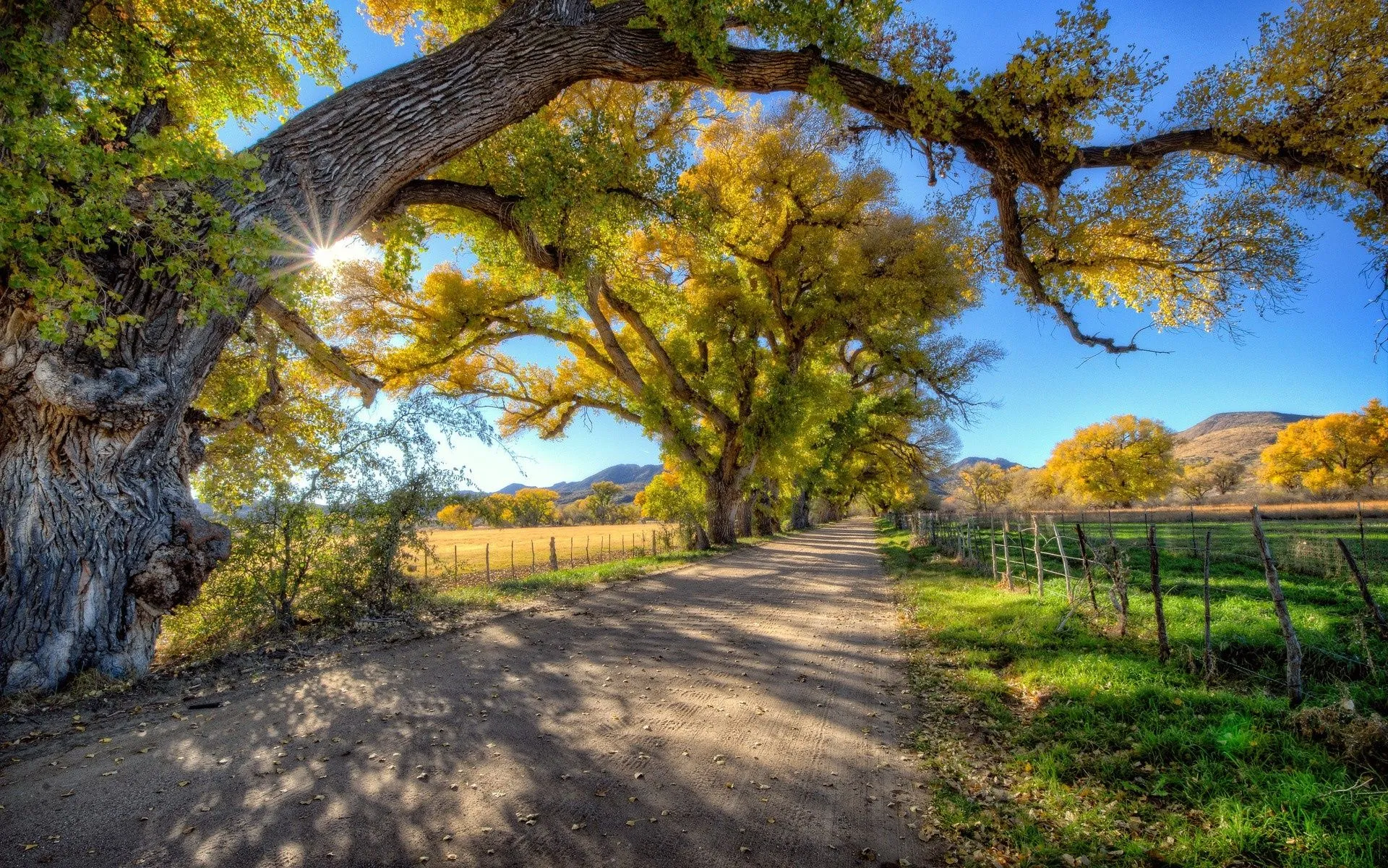 Gorgeous Country Road wallpaper. nature and landscape