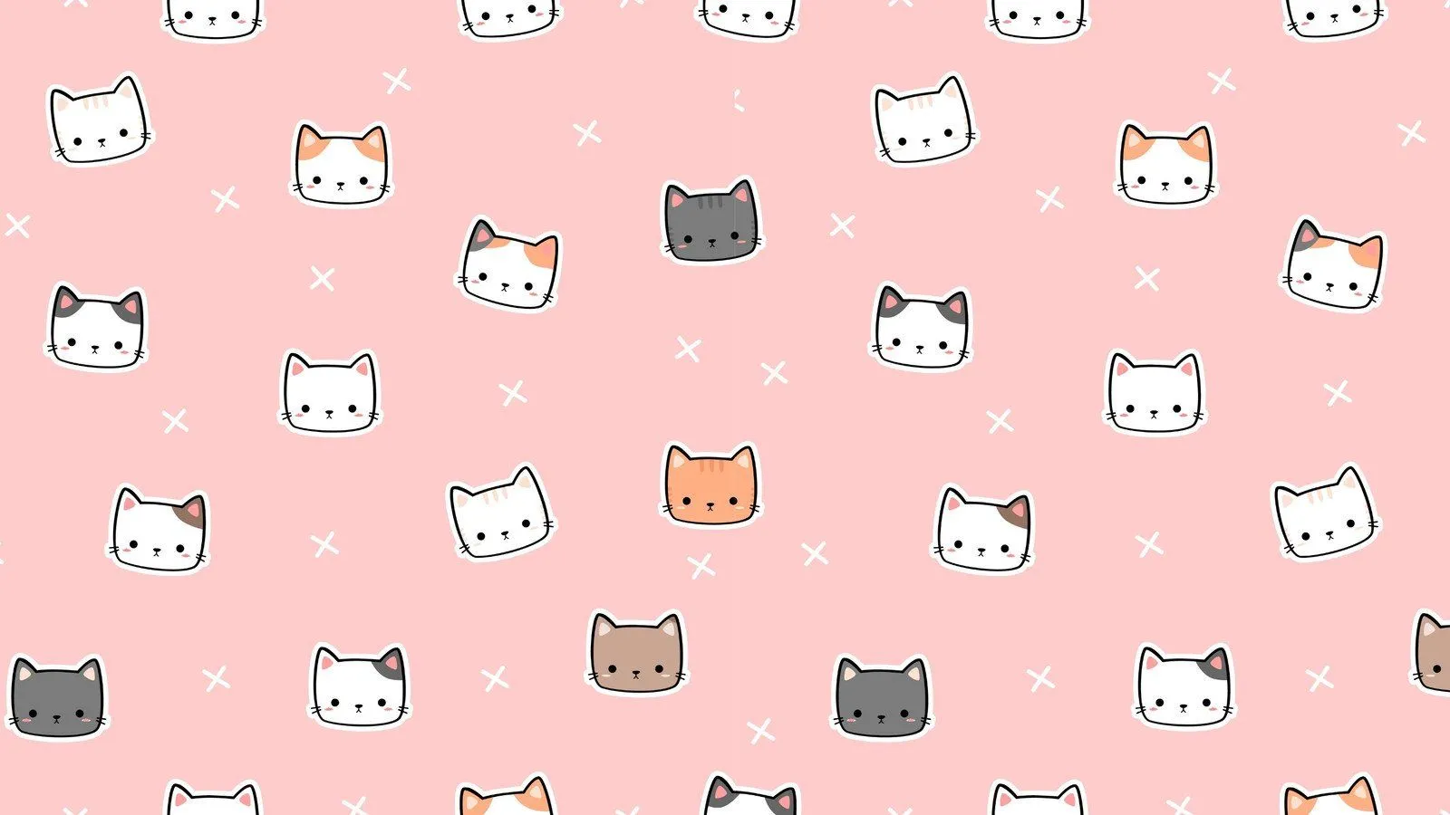 Cute Cat PC Wallpaper, HD Background on WallpaperBat