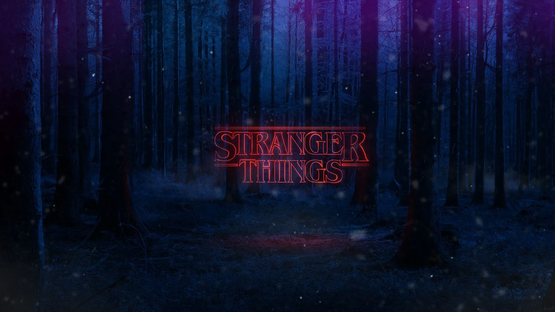 Stranger Things Netflix Tv Series Logo In Forest, HD Wallpaper