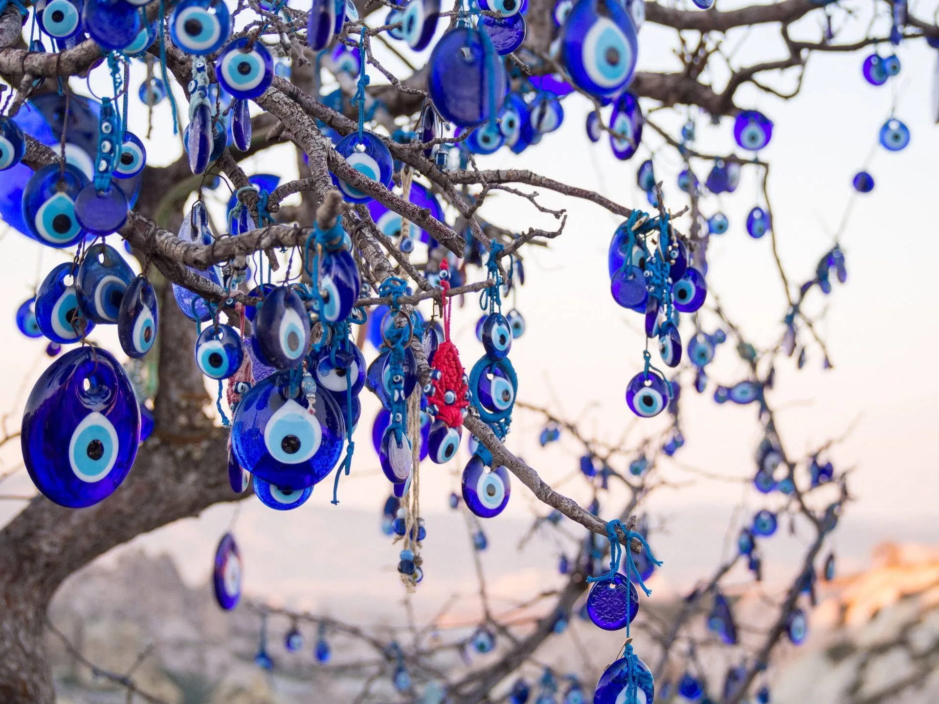 Download Evil Eye Hanging On Tree Wallpaper